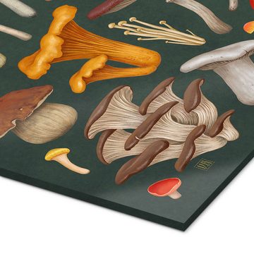 Posterlounge Acrylglasbild Vasilisa Romanenko, Pilze, Küche Natürlichkeit Malerei