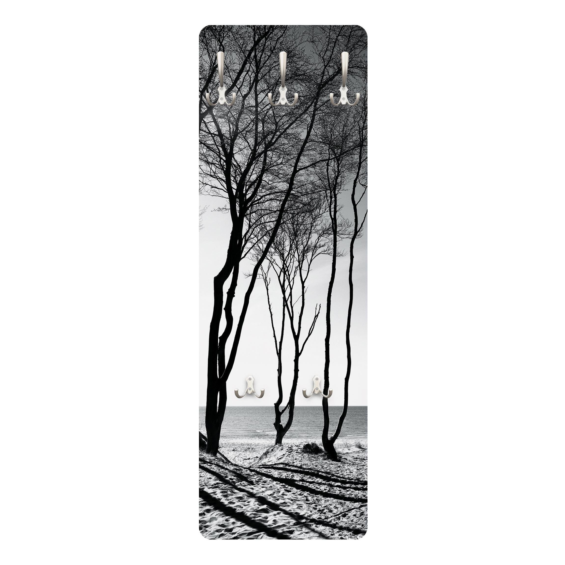 Bilderdepot24 Garderobenpaneel schwarz-weiß Bäume Wald Natur günstig online kaufen