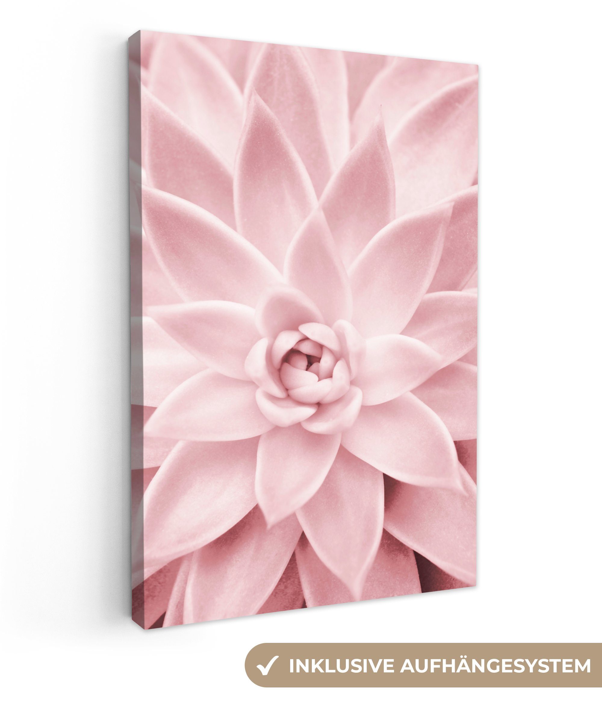 OneMillionCanvasses® Leinwandbild Blume - Rosa - Natur - Pflanze, Fotodruck günstig online kaufen