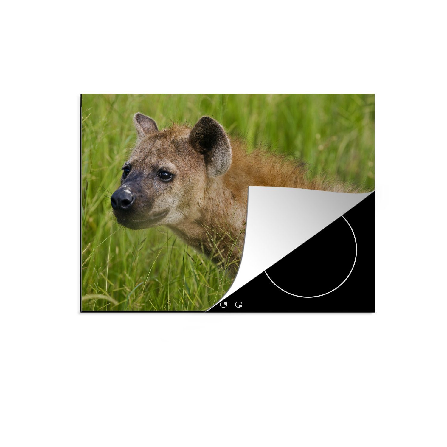 MuchoWow Herdblende-/Abdeckplatte Hyäne - Afrika Schutz Vinyl, (1 cm, - küche, Induktionskochfeld tlg), Ceranfeldabdeckung die Gras, für 71x52