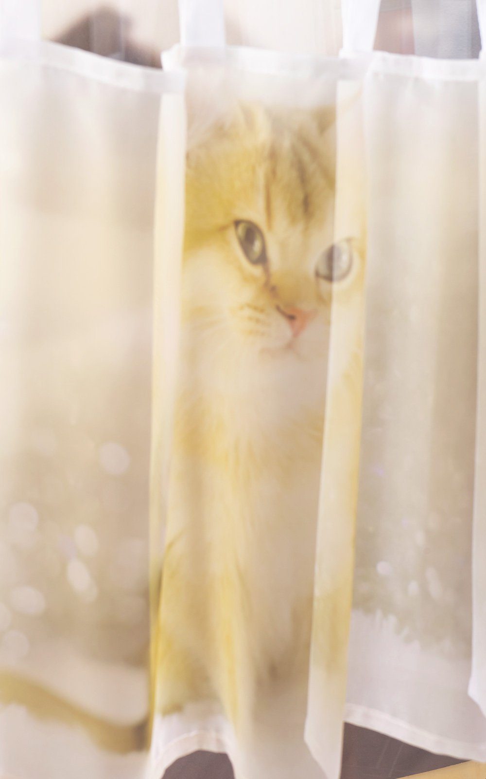 Scheibengardine Katze im HxB LYSEL®, (1 St), Schnee, transparent, 45x120cm