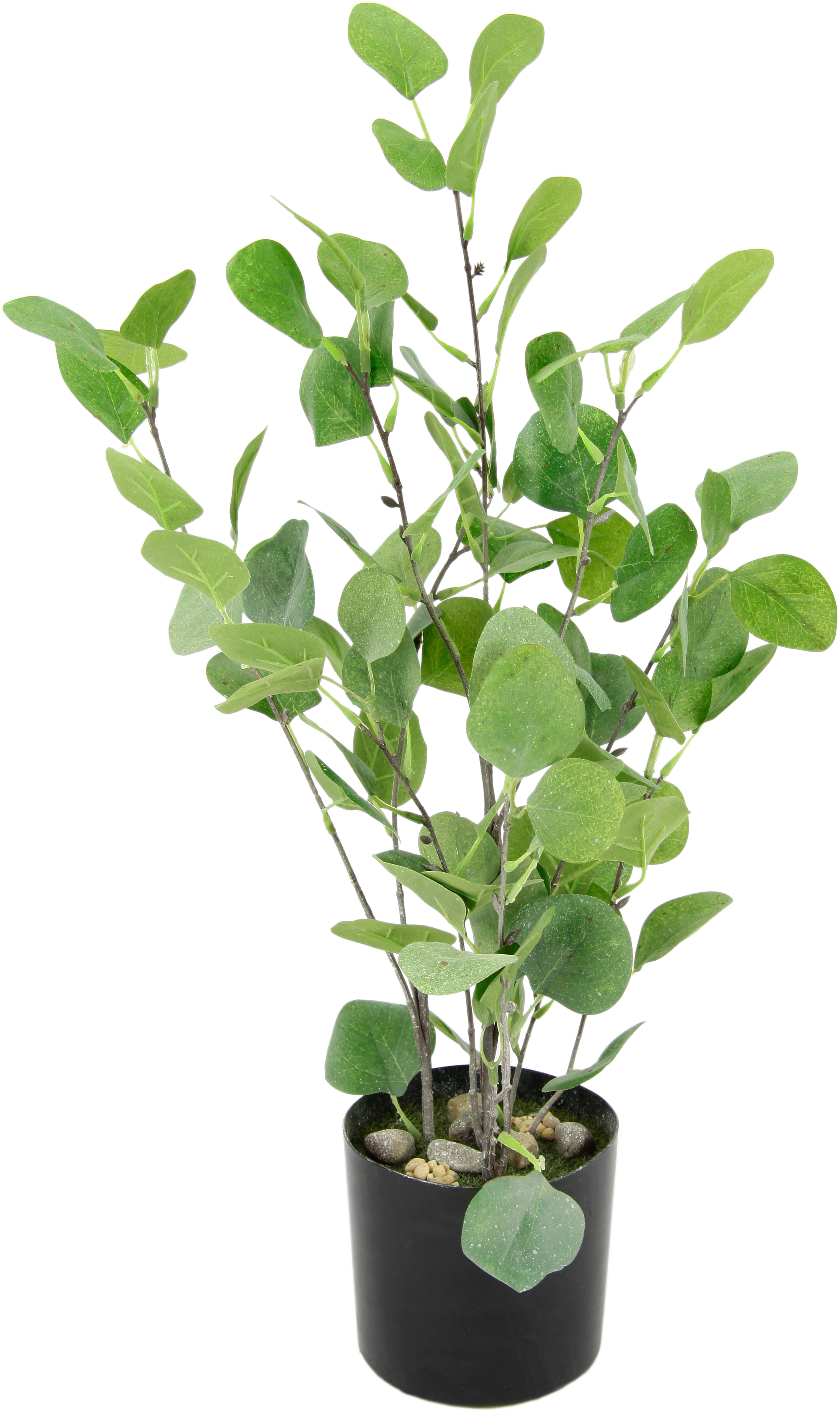 Kunstbaum Eukalyptus im Topf künstlich Eukalyptusbaum günstig online kaufen