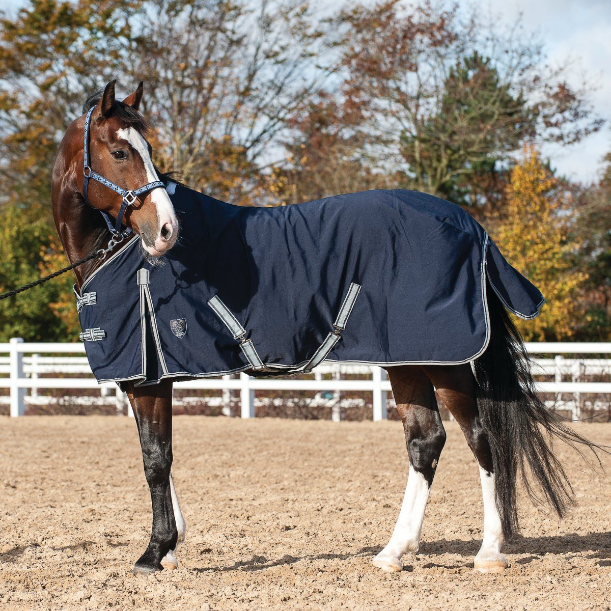 CATAGO Paddockdecke Sommerdecke navy - 125 cm