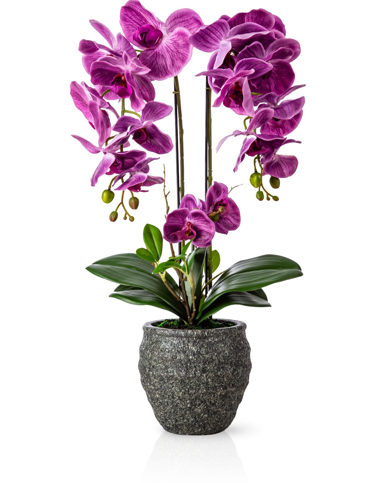 Kunstorchidee PASCH® Orchidee künstlich wie echt (60cm) in Urban Stone Töpfen Orchidee, PASCH, Real Touch Blüten, Handgefertigter Stone Cube