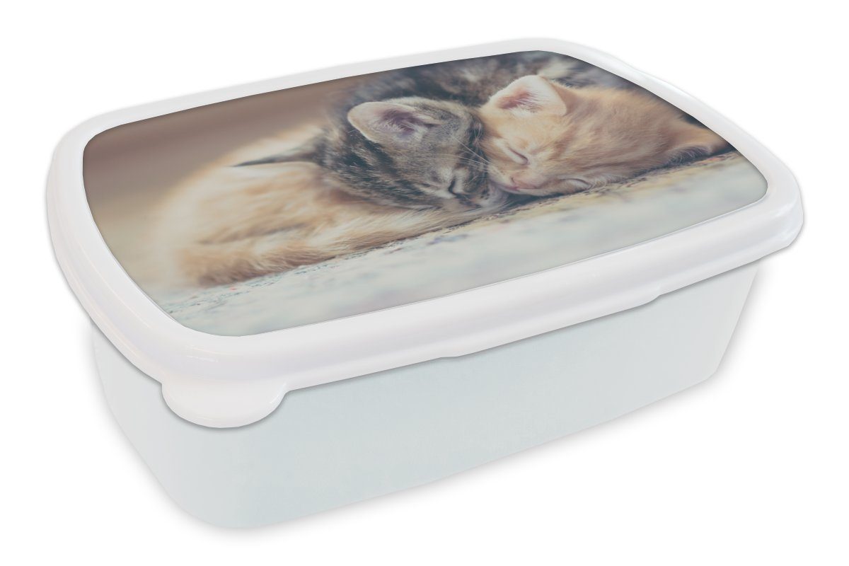 MuchoWow Lunchbox Schlafende Kätzchen, Kunststoff, (2-tlg), Brotbox für Kinder und Erwachsene, Brotdose, für Jungs und Mädchen weiß