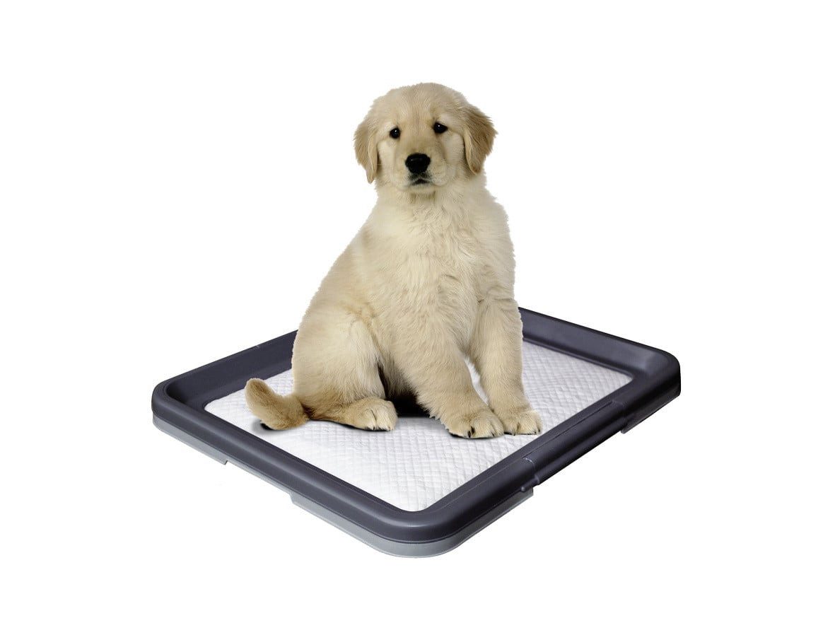 Nobby Hundehandtuch Nobby Doggy Trainer L - 62,5 x 48 x 3,8 cm