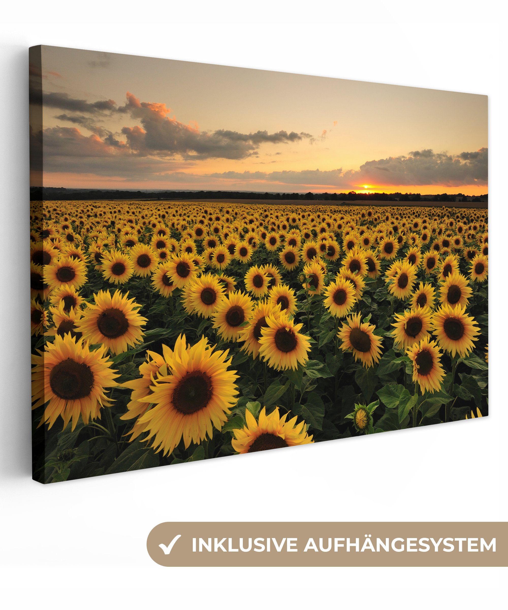 OneMillionCanvasses® Leinwandbild Sonnenblumen bei Sonnenuntergang, (1 St), Wandbild Leinwandbilder, Aufhängefertig, Wanddeko, 30x20 cm