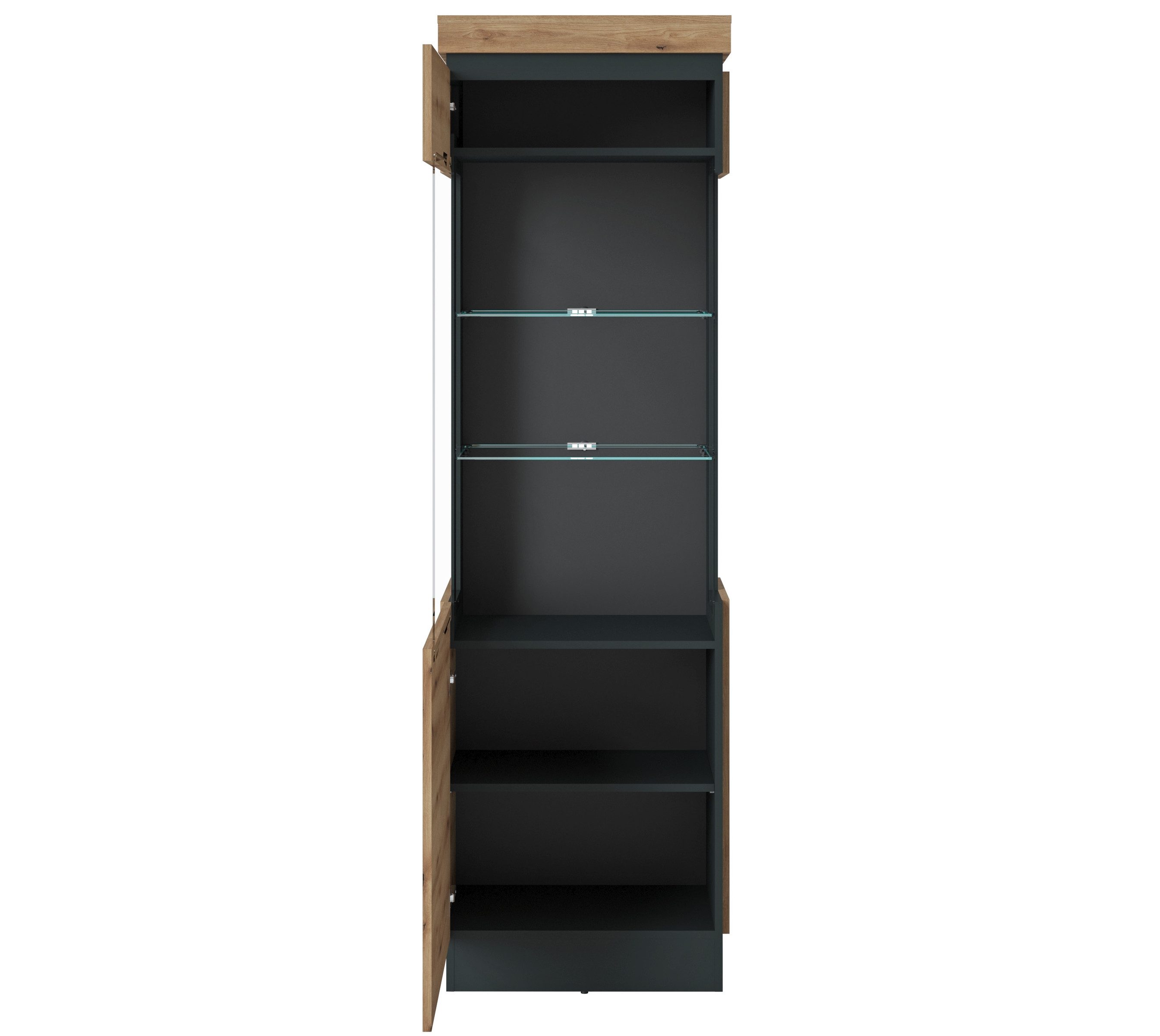 freiraum Glasvitrine CORTE in Coast Evoke Eiche Dekor/Kosmos Grau - 60x200,5x40 (BxHxT)