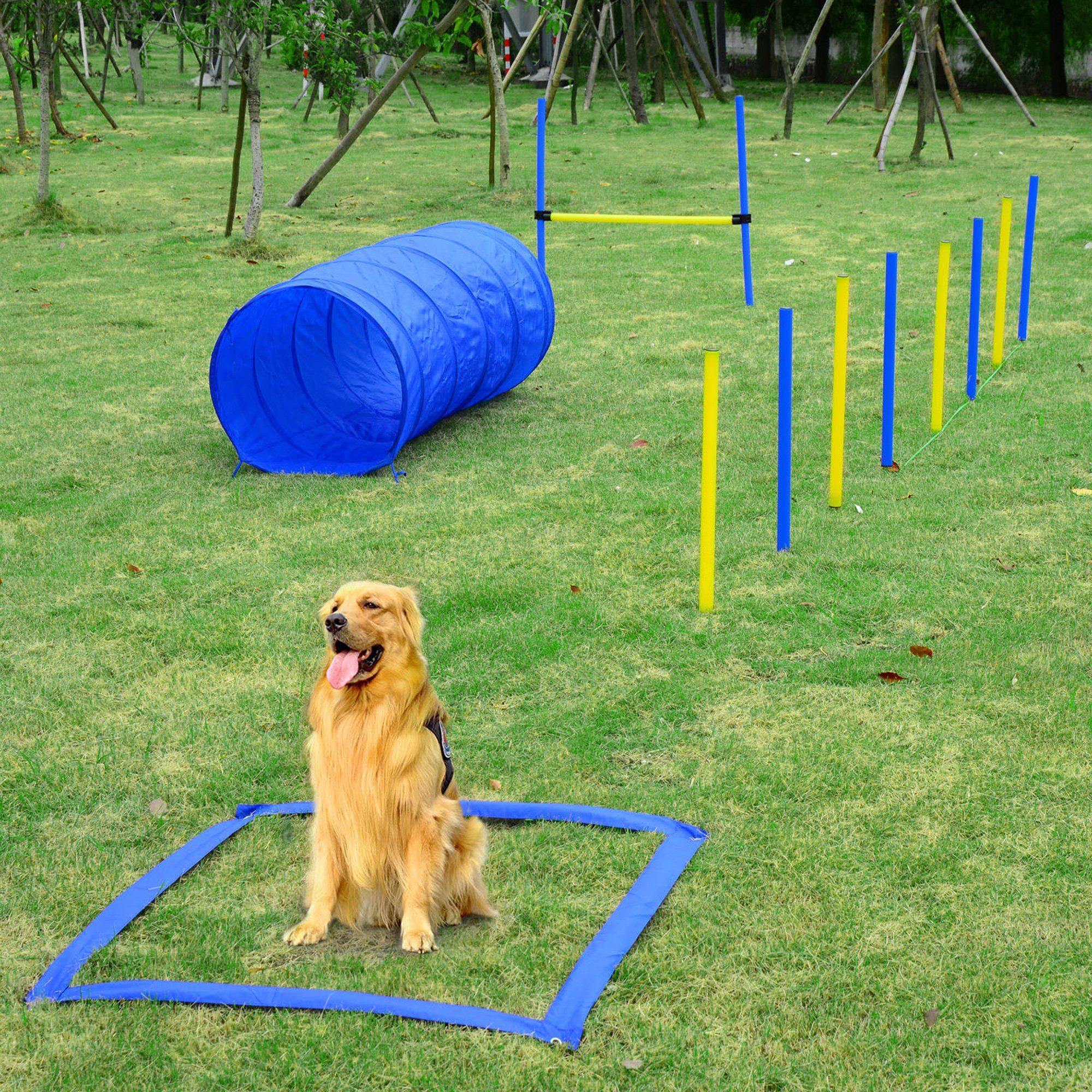 PawHut Agility-Hürde Hundesport, PE, Polyestergewebe