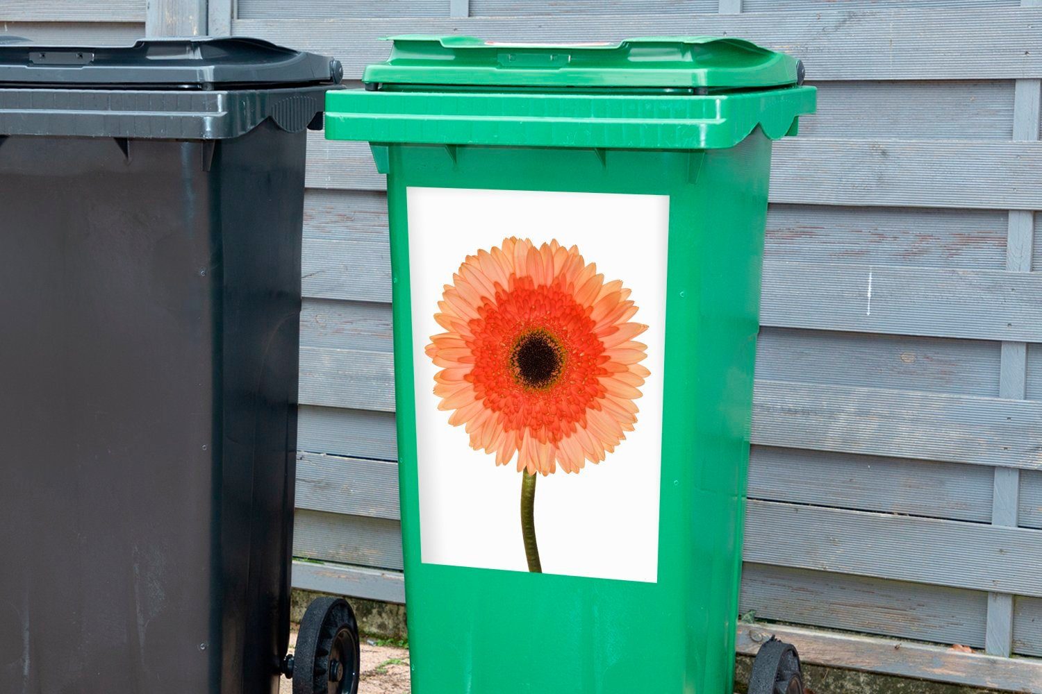 Nahaufnahme Wandsticker einer Mülltonne, Sticker, MuchoWow (1 St), Gebera-Blüte Abfalbehälter Container, orangefarbenen Mülleimer-aufkleber,