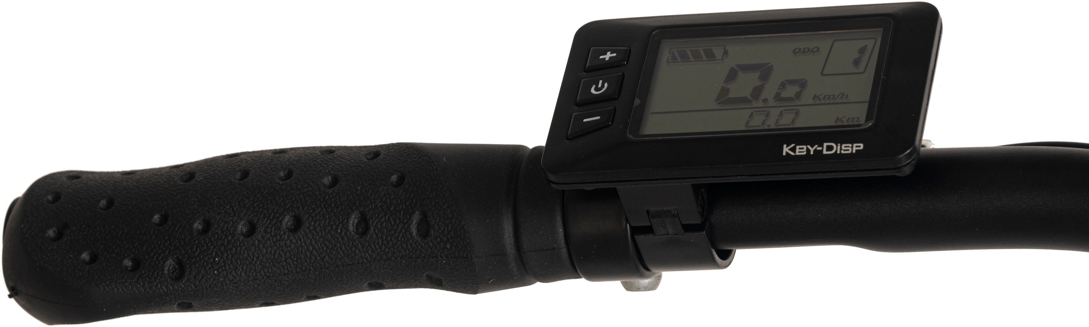 Adore E-Bike Cityrad CV-190, 7 Gang Shimano Tourney Schaltwerk, Kettenschaltung, Heckmotor, 460,8 Wh, Pedelec, Elektrofahrrad für Damen u. Herren