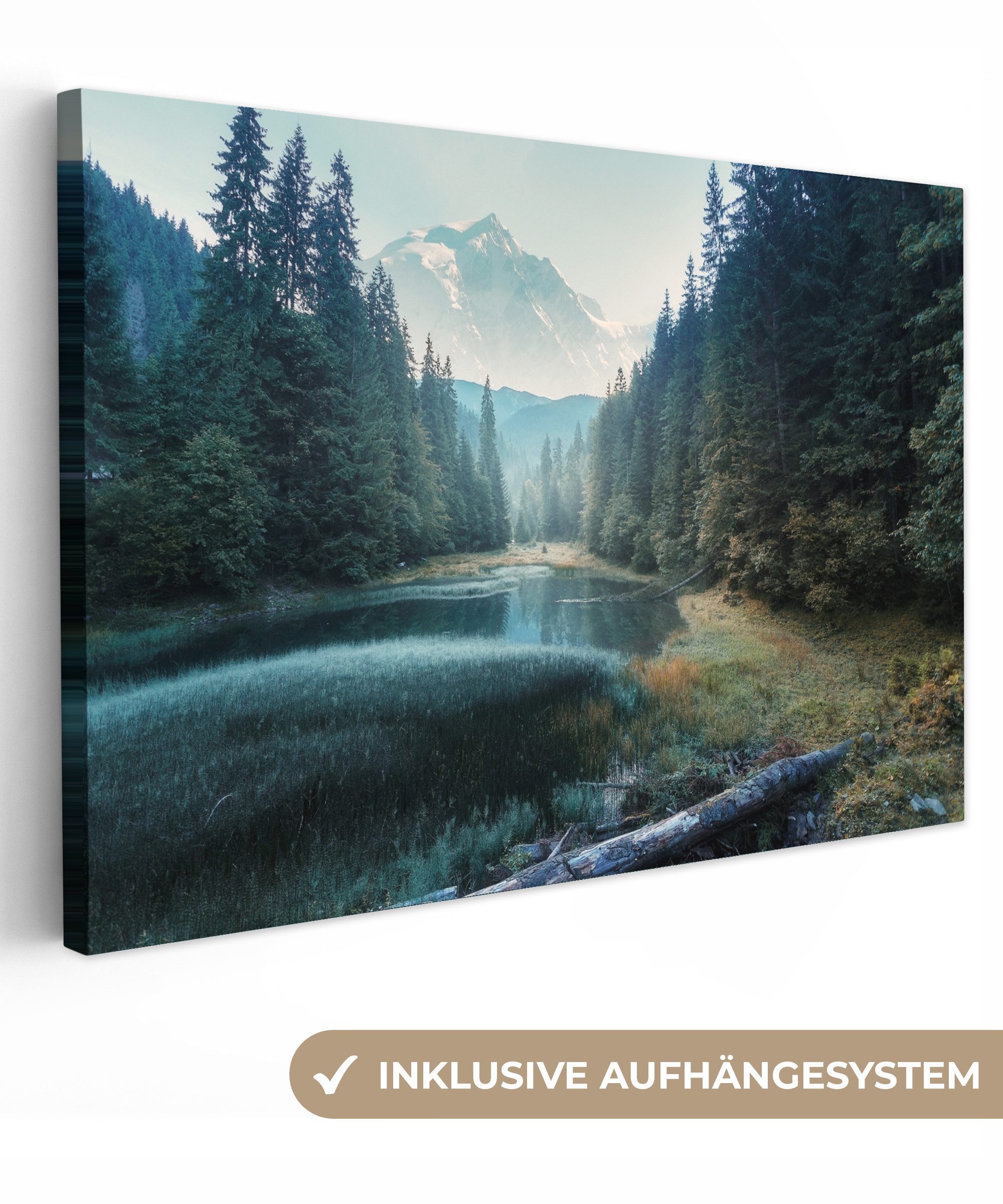 OneMillionCanvasses® Leinwandbild Wald - Gras - günstig online kaufen