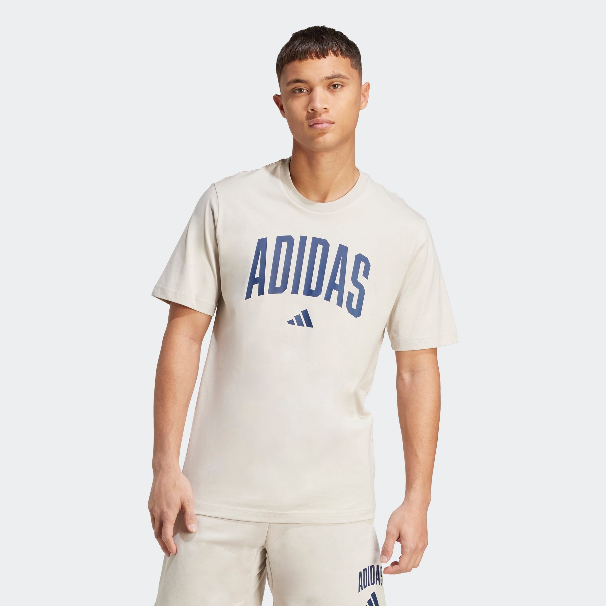 adidas Sportswear T-Shirt M COLLEGIATE T sportlicher Schnitt, kurze Ärmel, günstig online kaufen