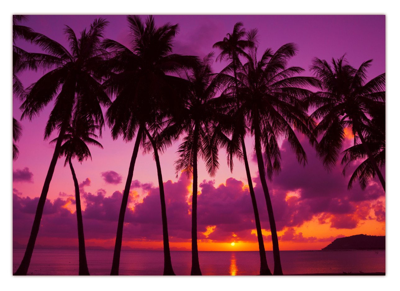 LYSCO Poster XXL Plakat Strand, Palmen, günstig online kaufen