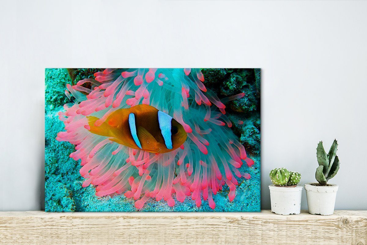 Anemone Wanddeko, Leinwandbilder, Neon Leinwandbild St), - OneMillionCanvasses® cm Wandbild (1 - Fisch, Aufhängefertig, 30x20