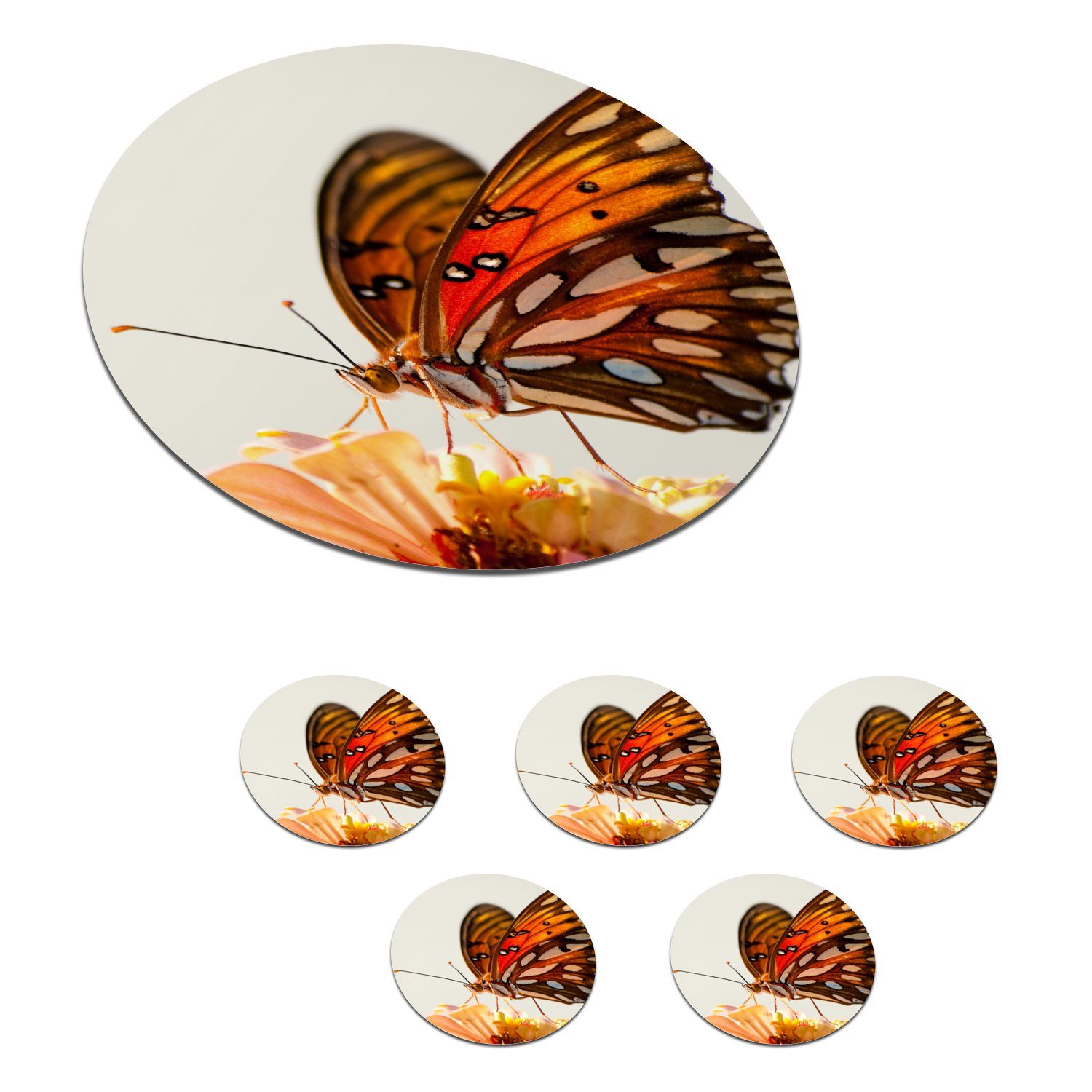MuchoWow Glasuntersetzer Schmetterling - Orange - Blume - Insekten, Zubehör für Gläser, 6-tlg., Getränkeuntersetzer, Tassenuntersetzer, Korkuntersetzer, Tasse, Becher