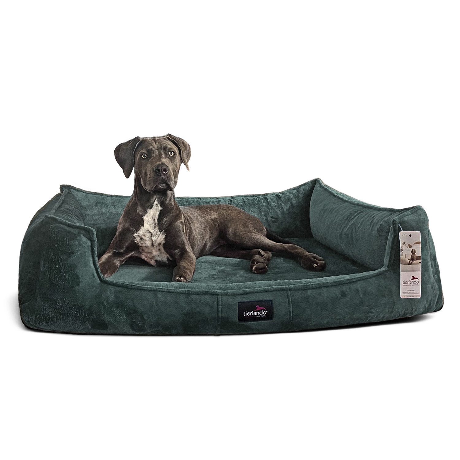 tierlando® Tierbett Orthopädisches Hundebett FRANKLIN Kuscheliger Teddy-Sto günstig online kaufen