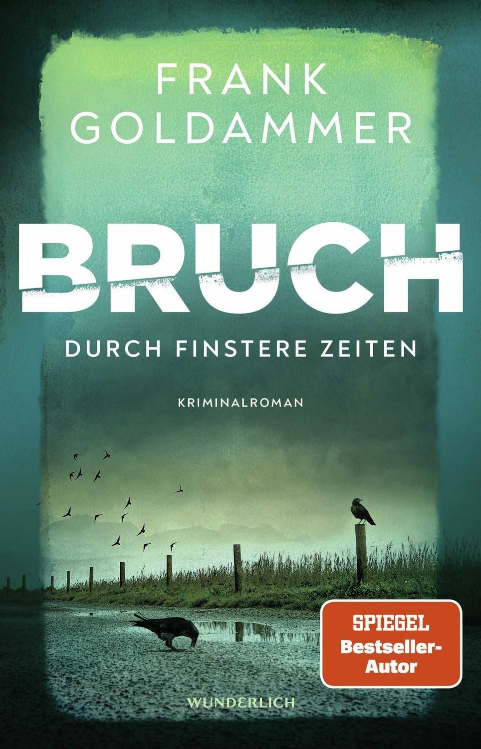 Bruch: Durch finstere Zeiten / Frank Goldammer, Roman