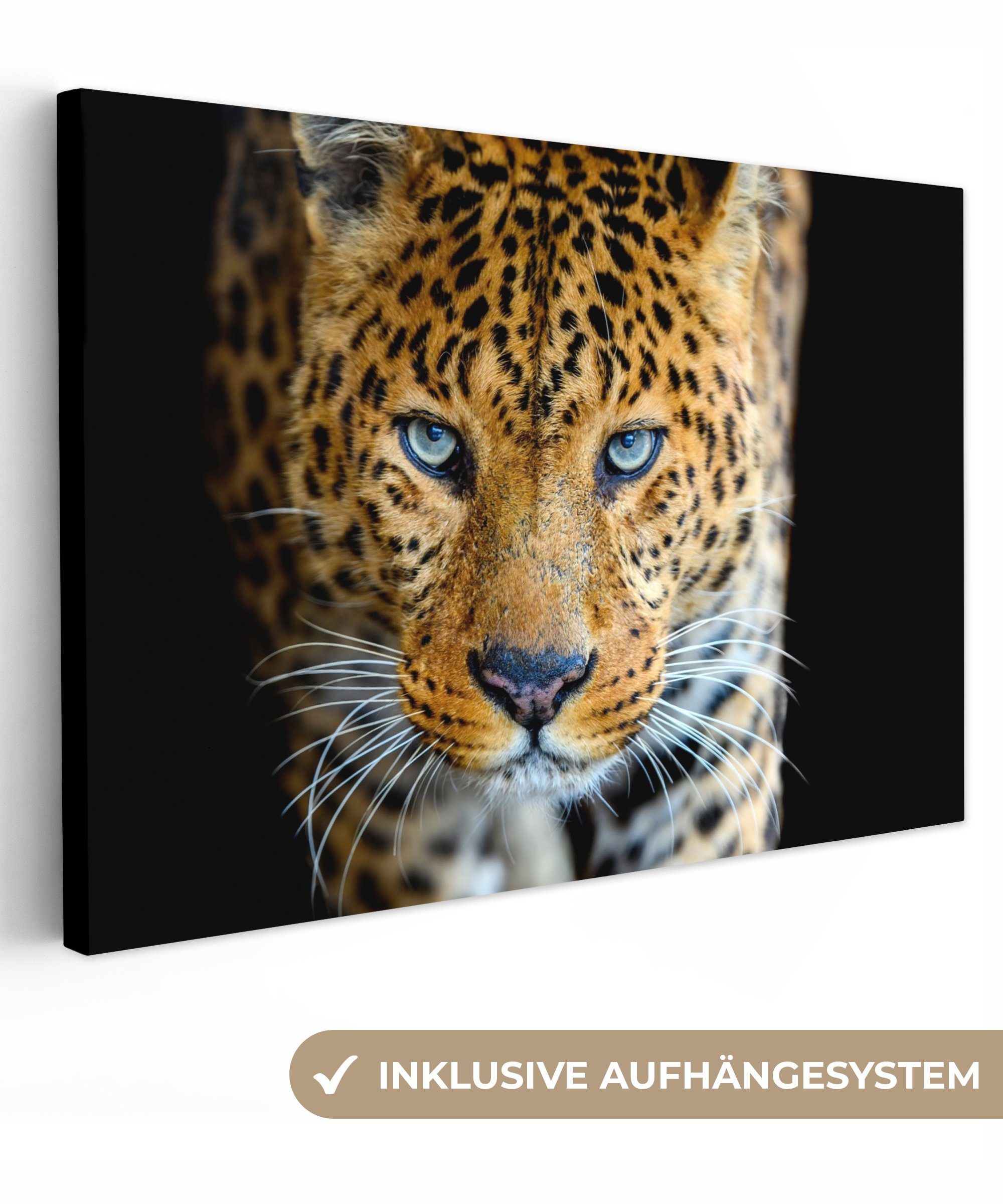 OneMillionCanvasses® Leinwandbild Leopard - Tiere - günstig online kaufen