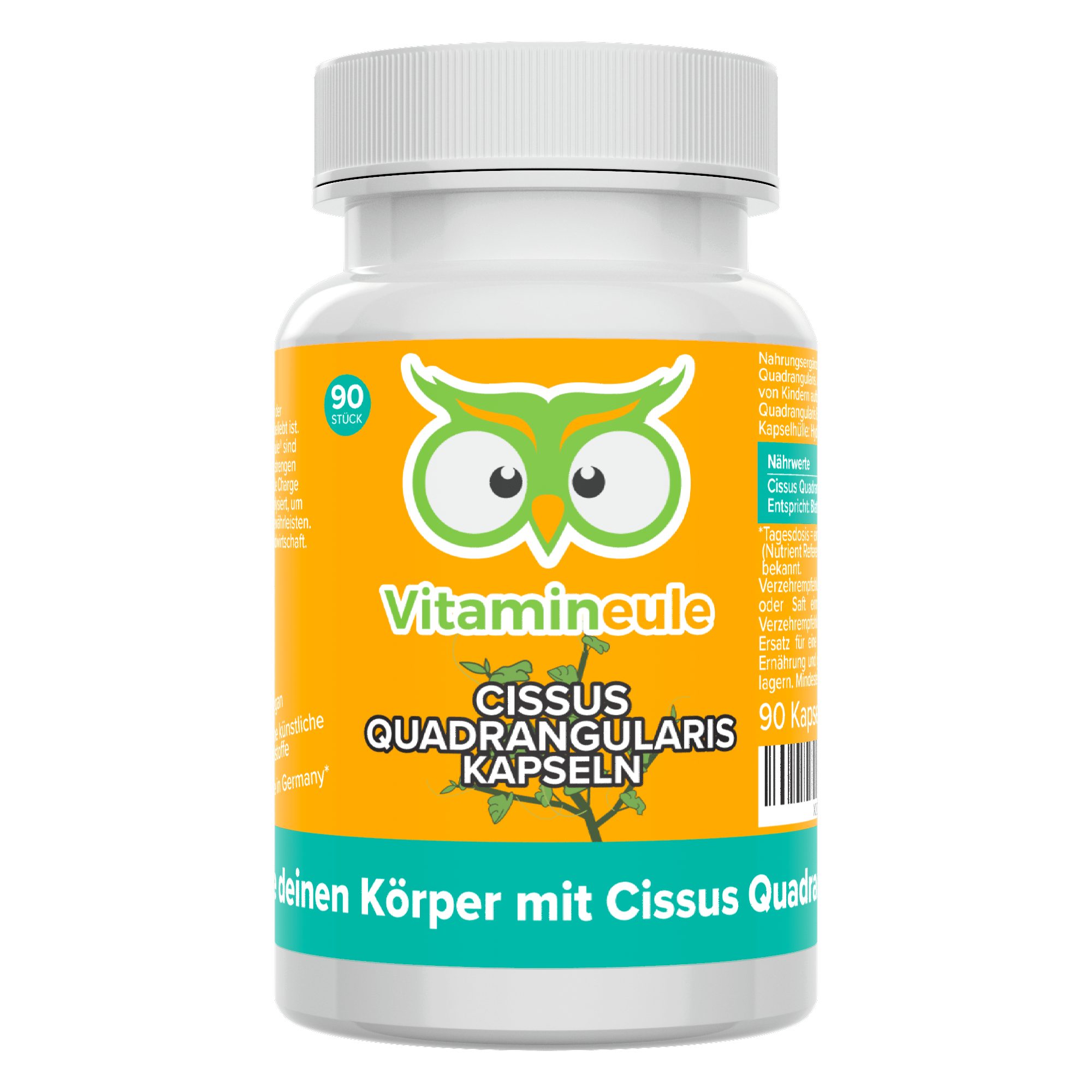 Cissus Quadrangularis Kapseln mit 400 mg Blattextrakt (12:1) - Kapsel