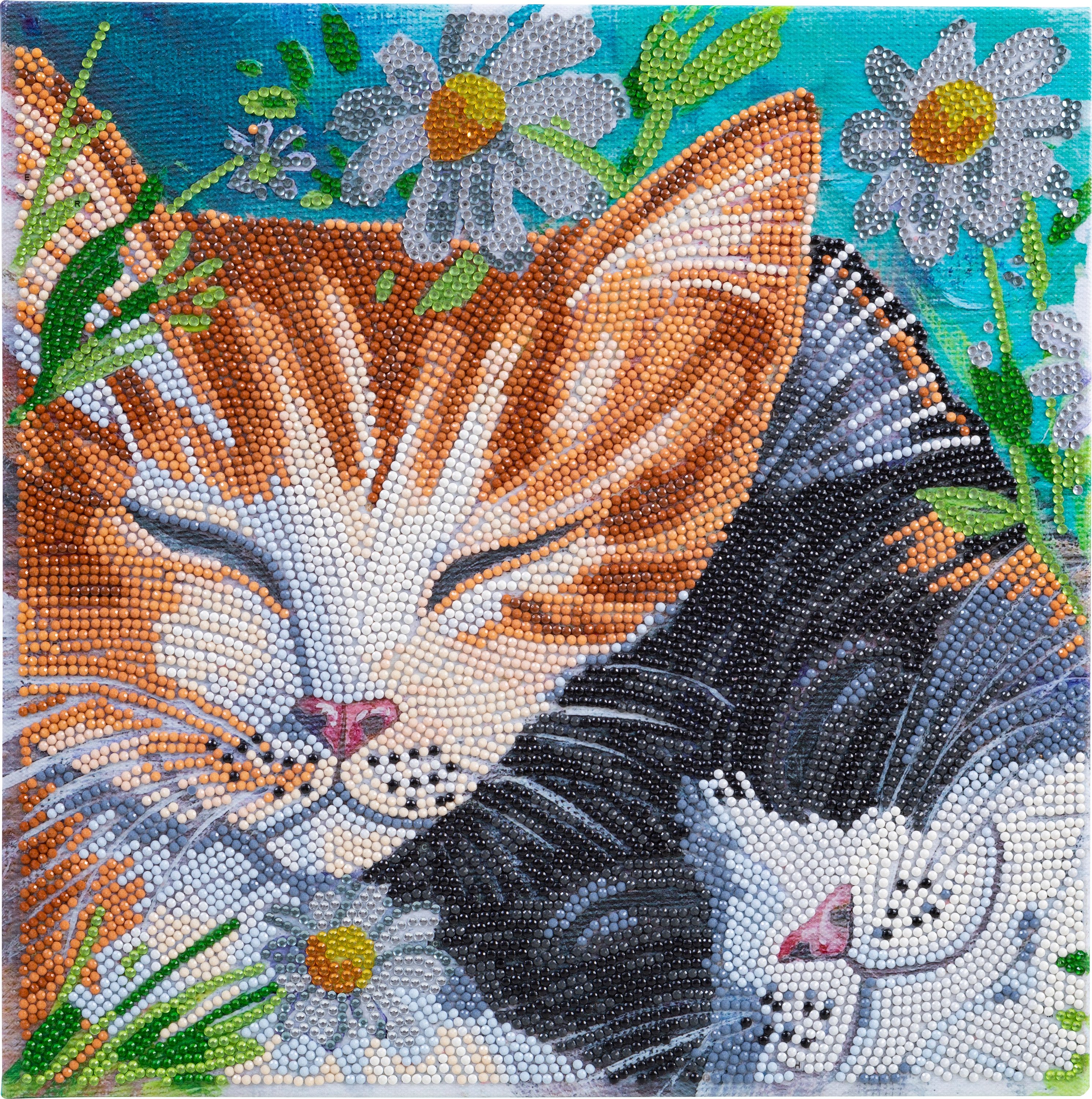CRAFT Buddy Malvorlage Diamond Painting Crystal Art Kit, 30x30cm