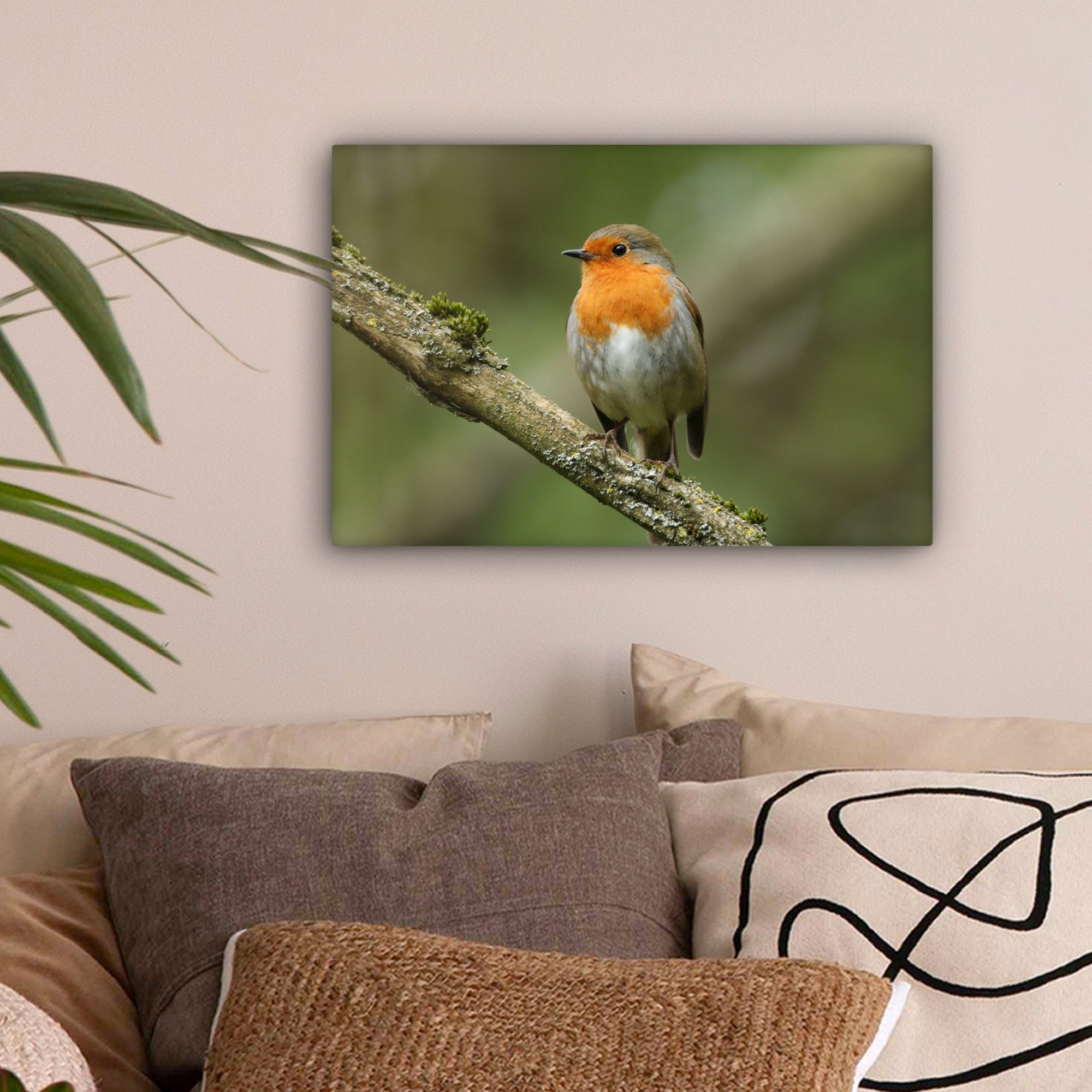OneMillionCanvasses® Leinwandbild Vogel - Rotkehlchen - Zweig - Pflanzen, F günstig online kaufen