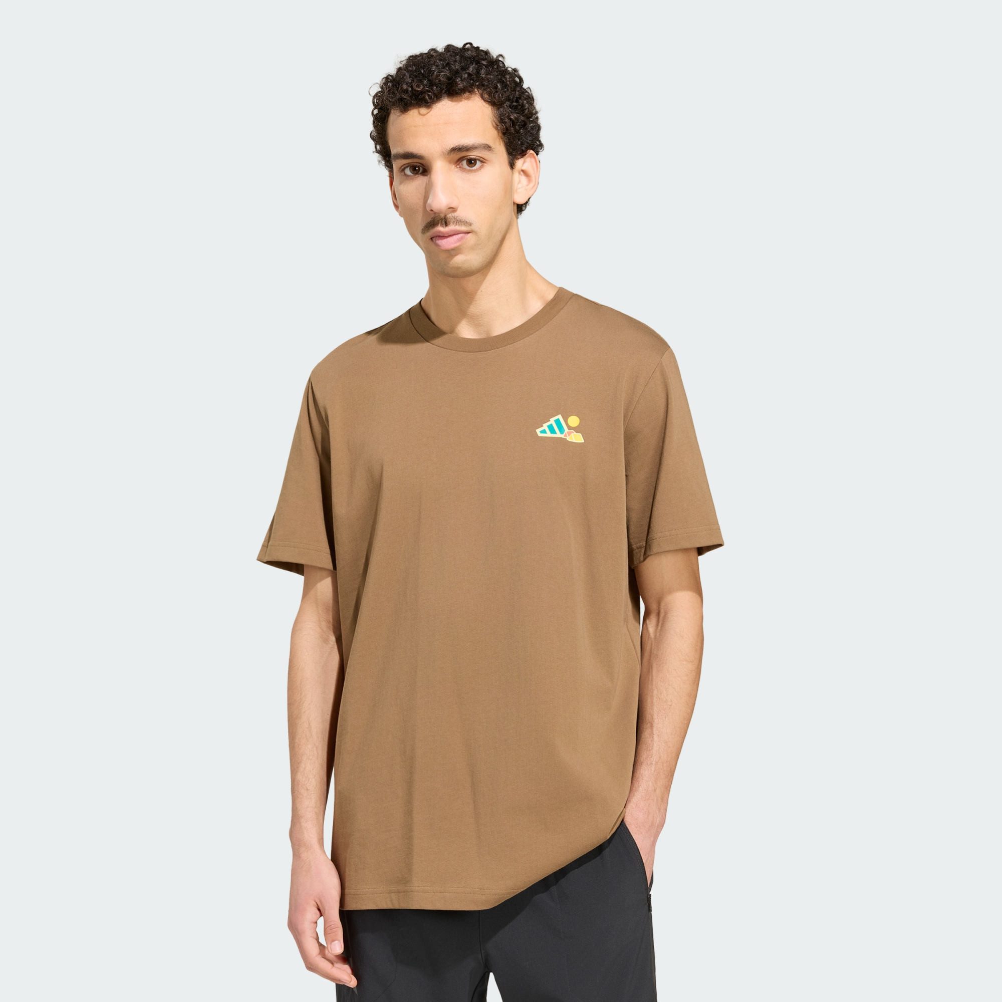 adidas TERREX T-Shirt TERREX CAMPER GRAFIK T-SHIRT (1-tlg)