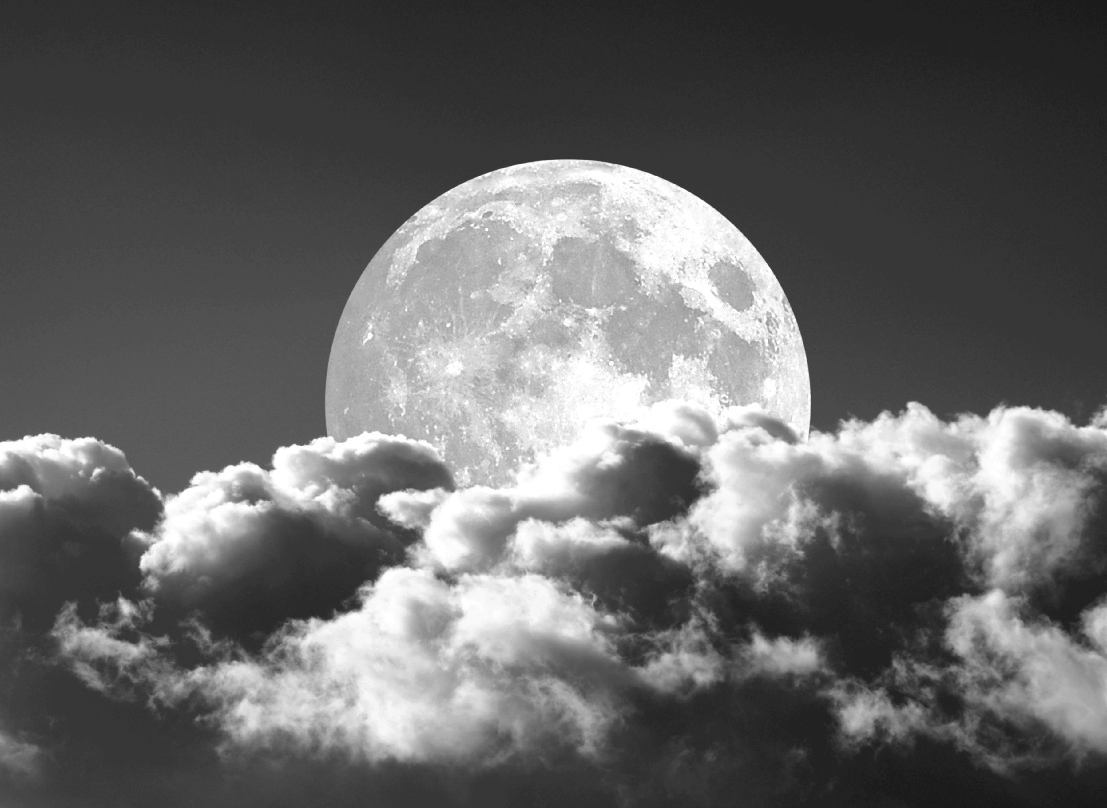 Papermoon Fototapete Mond Schwarz & Weiß