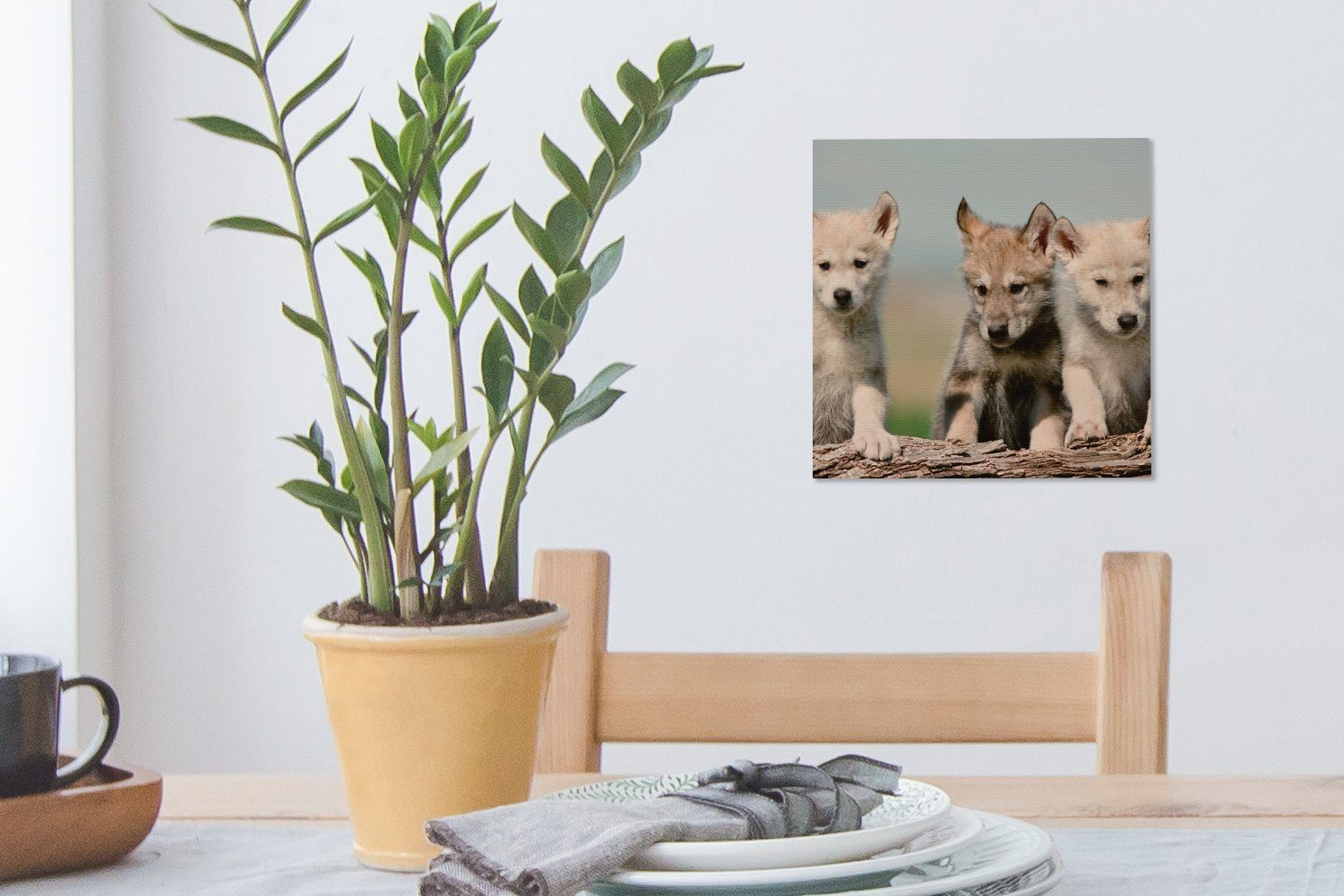 OneMillionCanvasses® Leinwandbild Wolf - Bilder für (1 - Leinwand Wohnzimmer St), Kind Schlafzimmer Holz