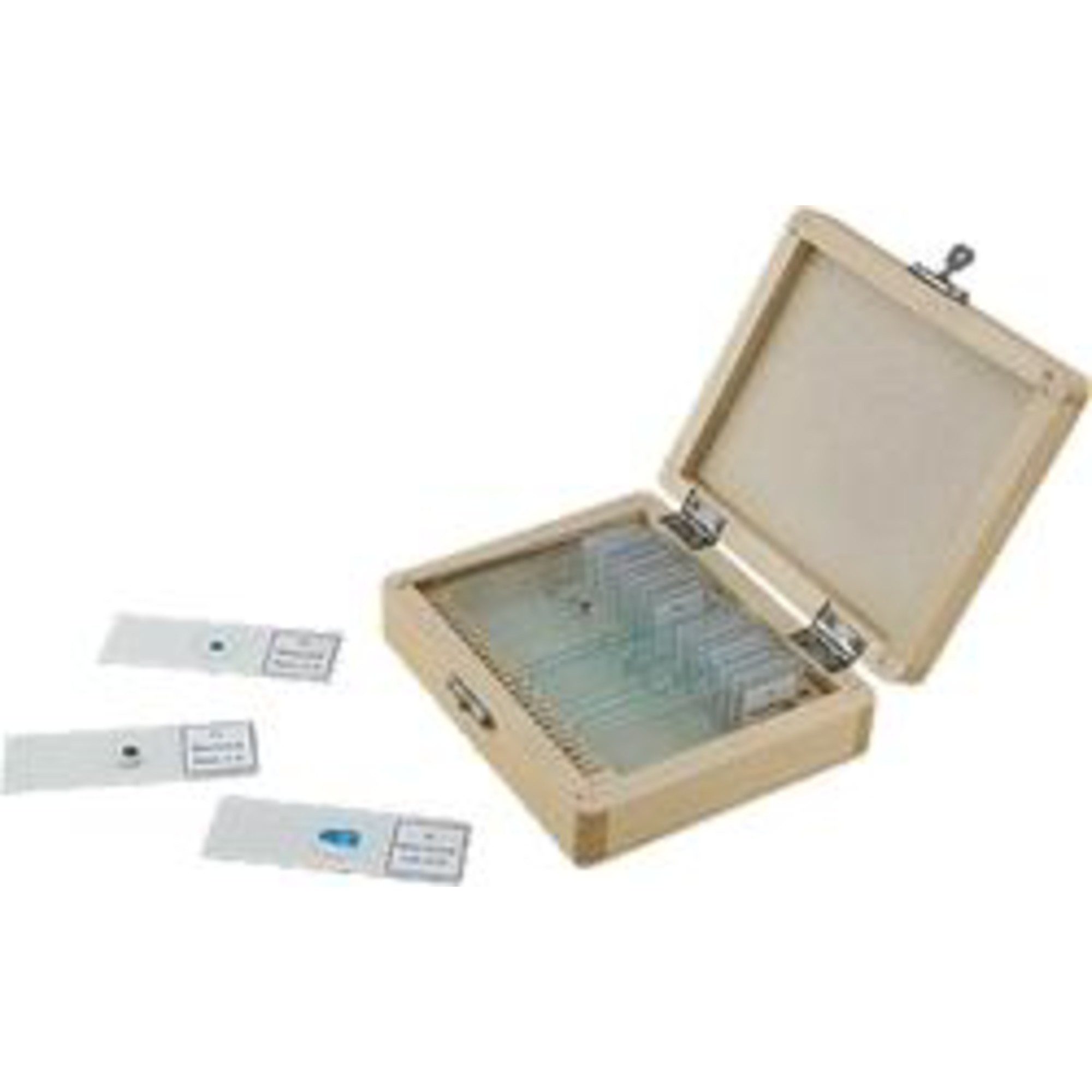 Celestron Celestron Dauerpräparate Set, Mod. 44 410, 25 Stück Auf- und Durchlichtmikroskop