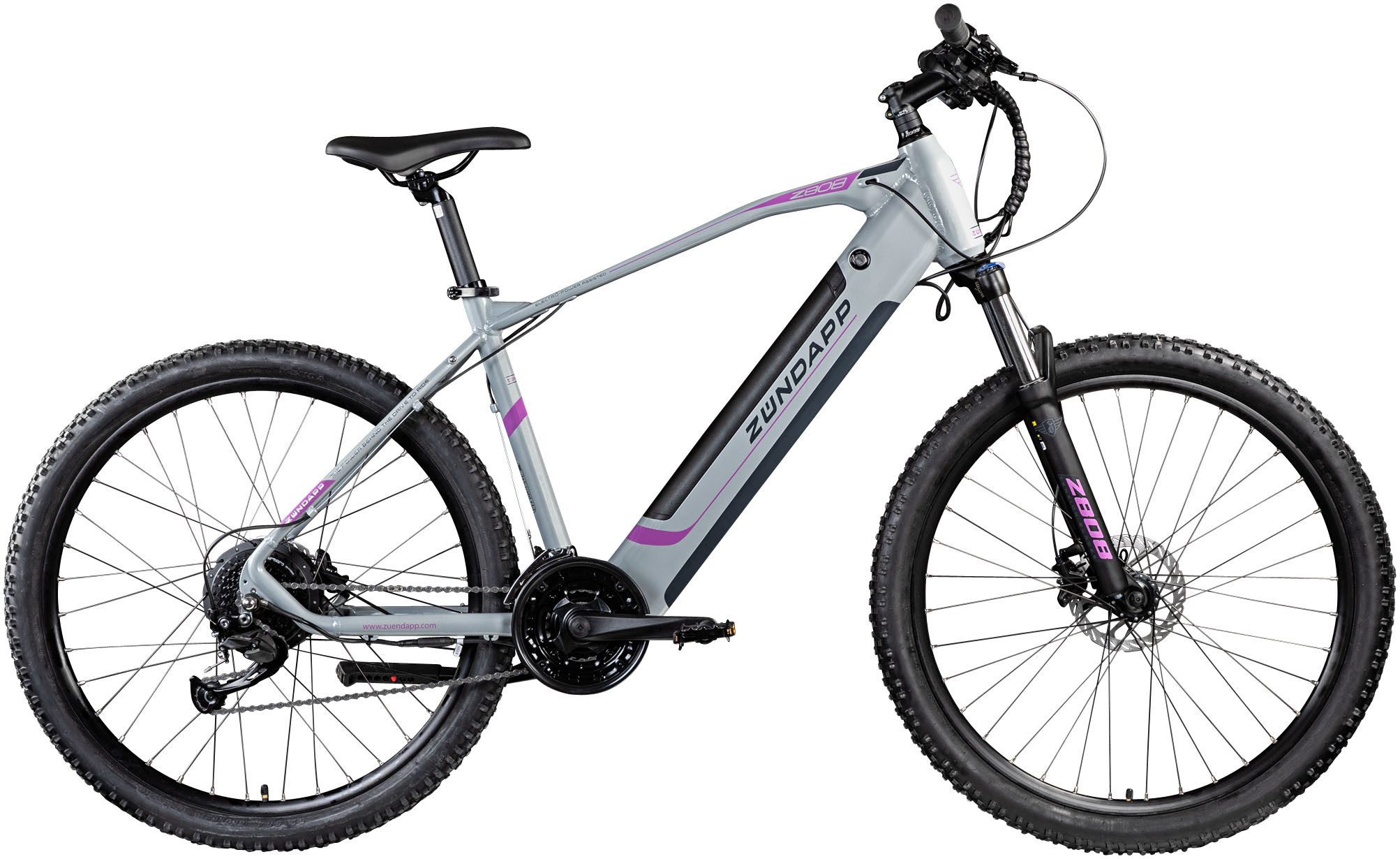 E-Bike Mountainbike Z808