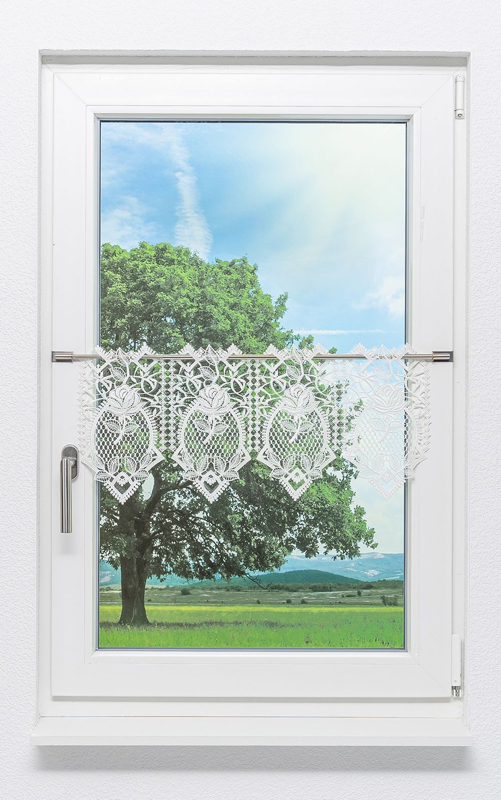 Plauener Spitze® Scheibengardine Rosengarten, (1 St), günstig online kaufen