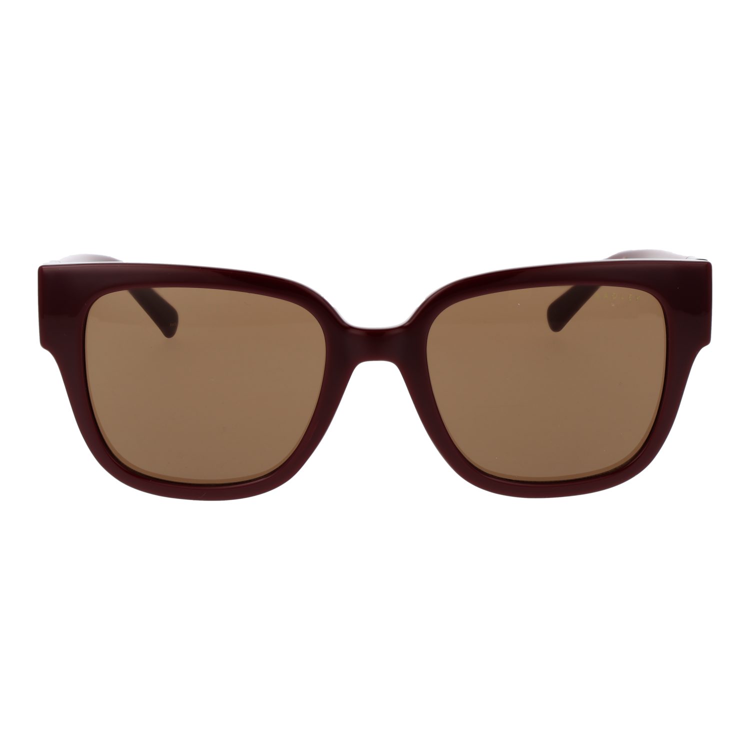 Radley Sonnenbrille RDS-6556 54172A