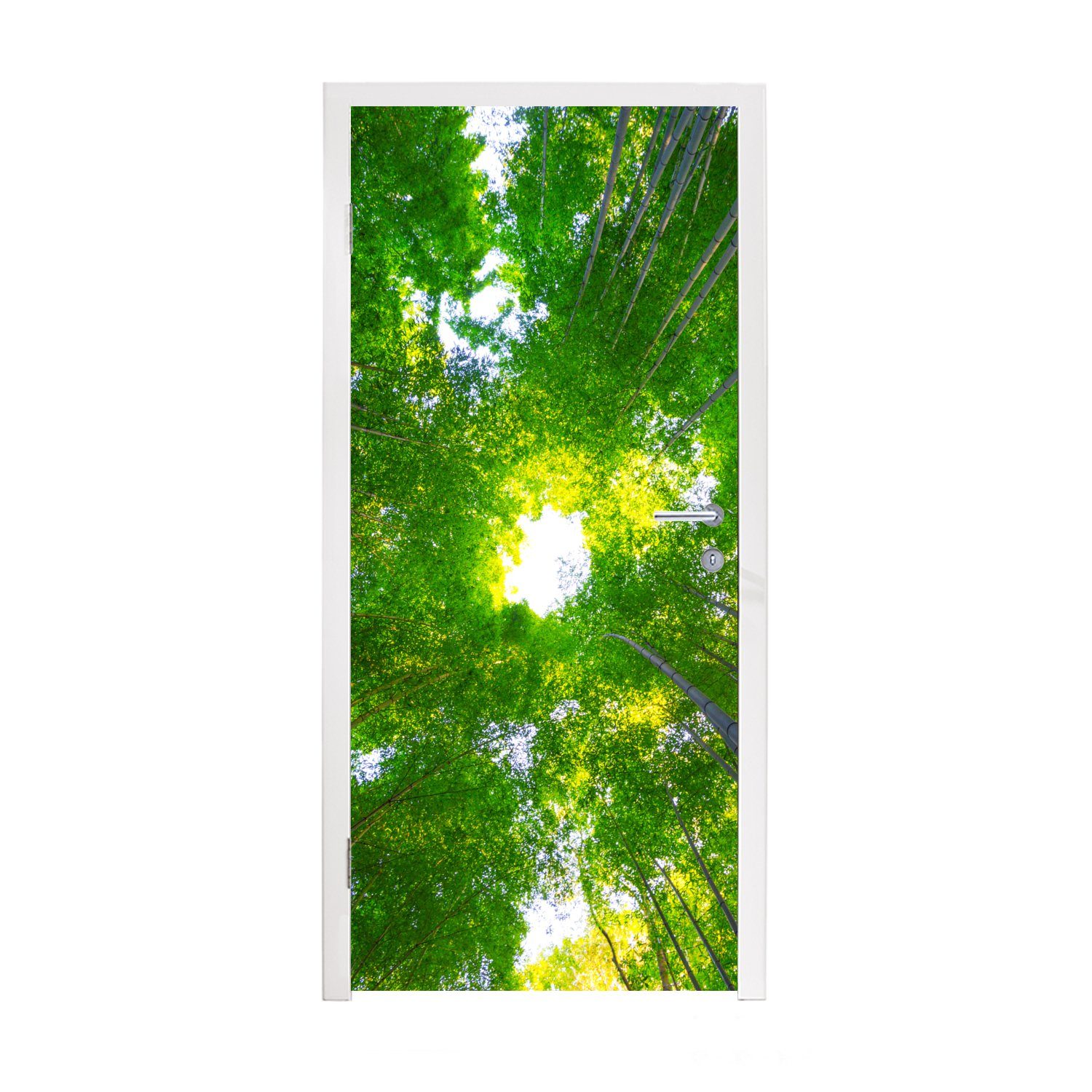im Arashiyama-Bambuswald, cm Türtapete bedruckt, Fototapete Tür, Matt, 75x205 Türaufkleber, (1 für St), MuchoWow Baumkronen