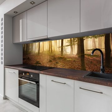 wandmotiv24 Küchenrückwand Wald am Morgen, (1-tlg), Premium Hartschaum Nischenrückwand in versch. Größen