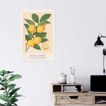 Posterlounge Poster Walter Hood Fitch, The Florist and Pomologist - Bijou Lemon, Bar Vintage Illustration