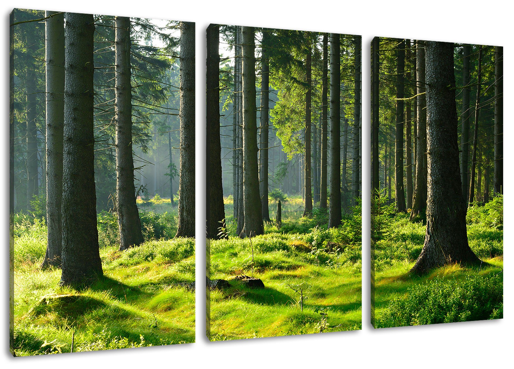 Zackenaufhänger sonniger (120x80cm) fertig 3Teiler Wald Pixxprint bespannt, (1 im Wald, Leinwandbild St), inkl. Tag Tag Leinwandbild im sonniger