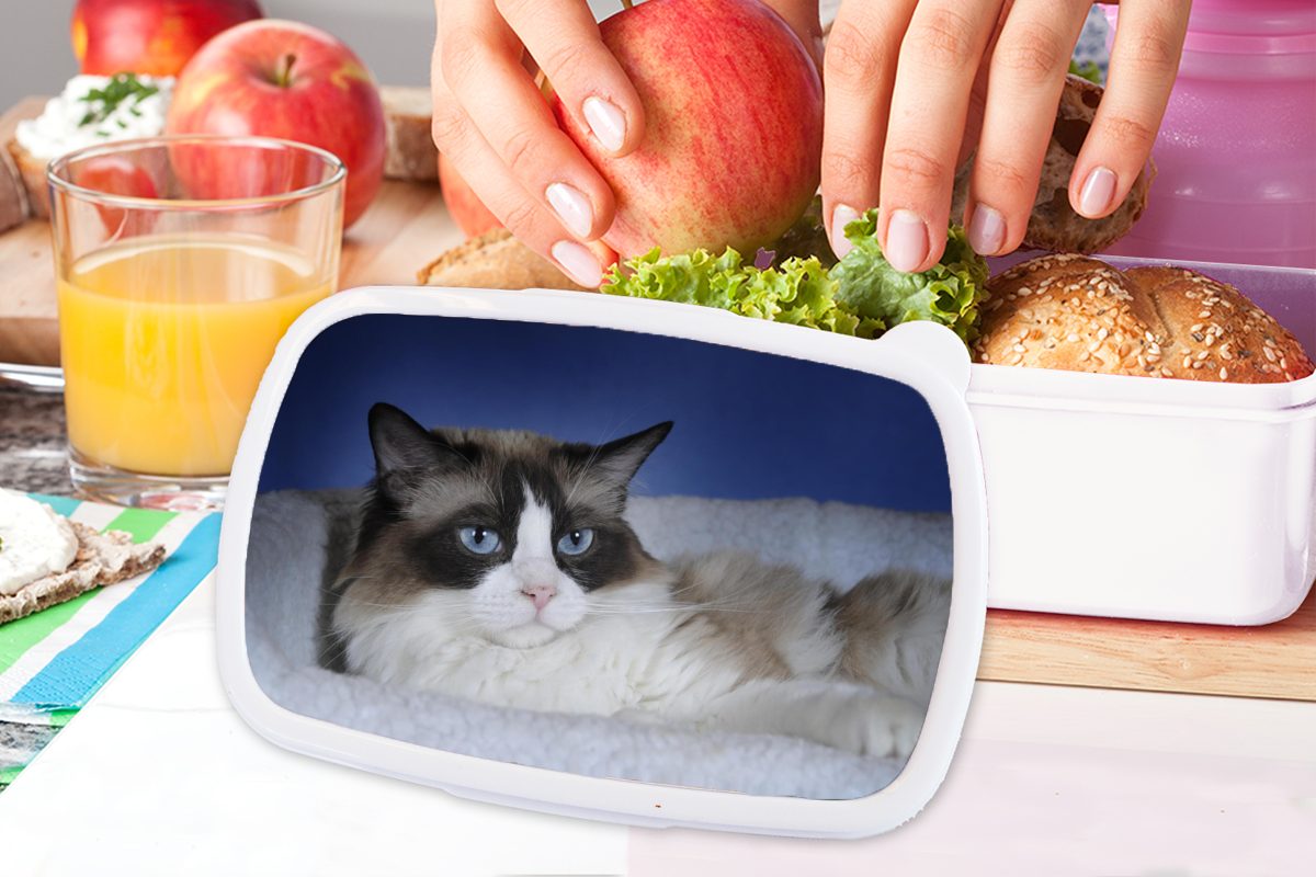 (2-tlg), schwarz-weiße Kunststoff, und MuchoWow Kinder Liegende und für Jungs Mädchen für Brotbox Lunchbox Brotdose, Ragdoll-Katze, Erwachsene,