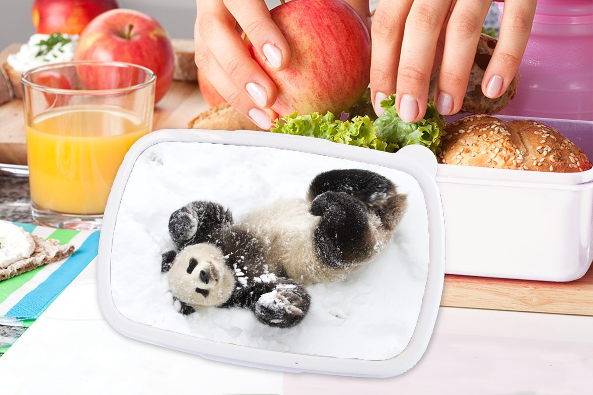 Panda Brotdose, Schnee für Brotbox Erwachsene, und MuchoWow (2-tlg), für Jungs Kinder - - weiß Kunststoff, Baby, Lunchbox Mädchen und