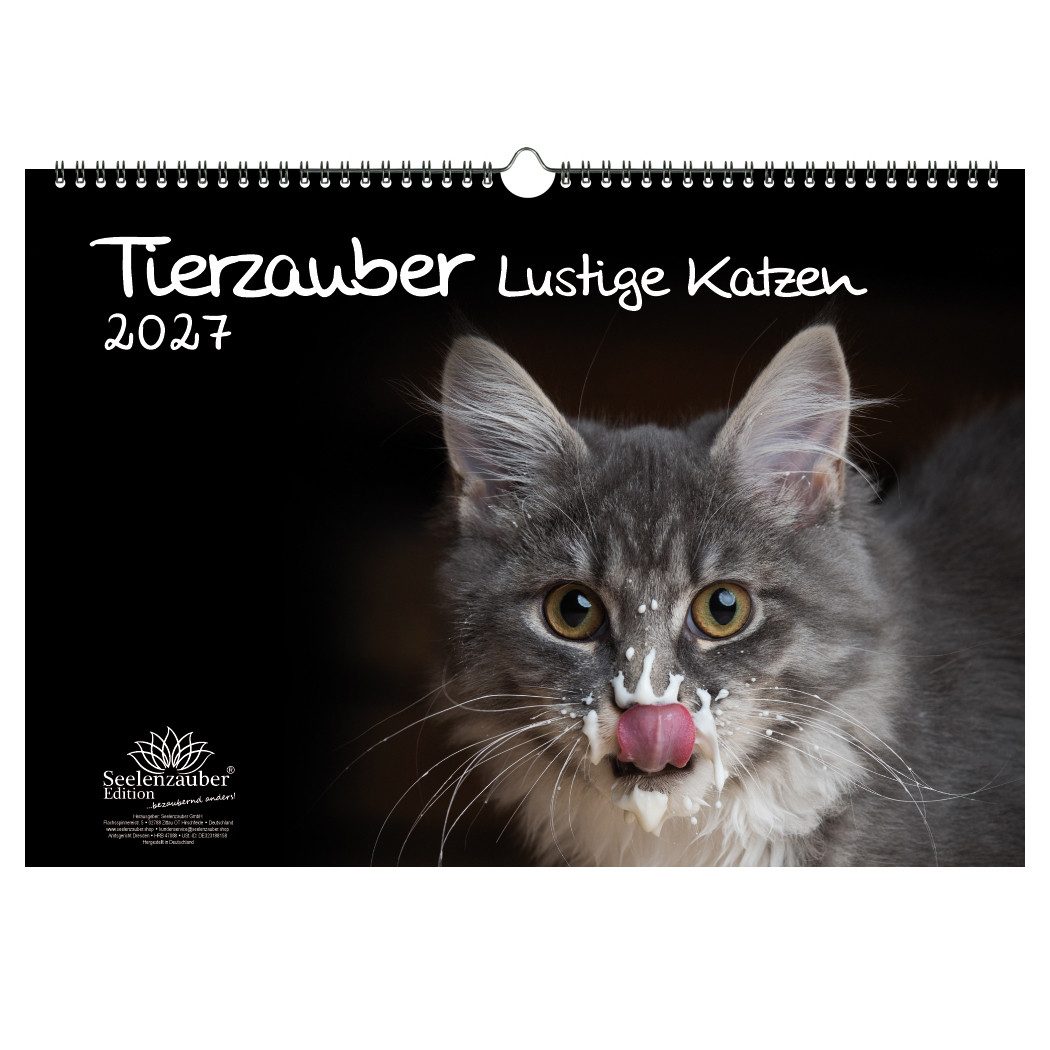 Seelenzauber Wandkalender Tierzauber Lustige Katzen DIN A3 Kalender für 2027 Lustige Katzen