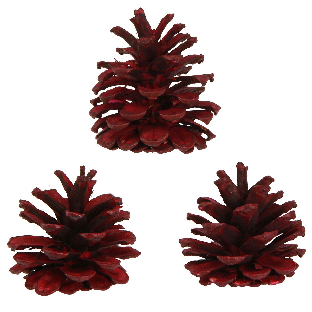 Trockenblume Schwarzkiefern Deko Zapfen Rot Bordeaux 6-8cm Weihnachten 6 Stk, 6, Viana, Höhe 8 cm