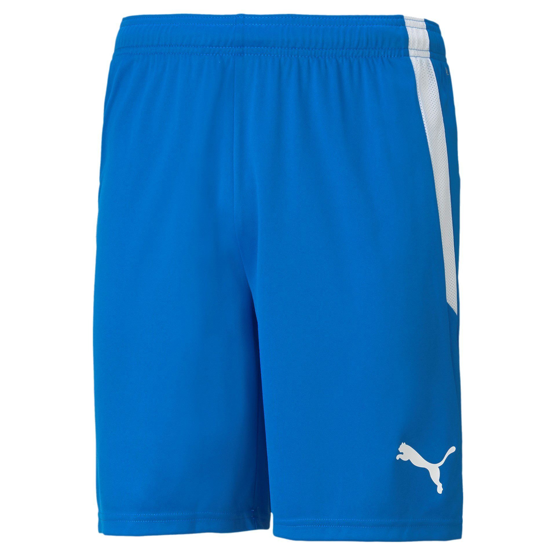 PUMA Sporthose teamLIGA Shorts kurz blau Herren günstig online kaufen