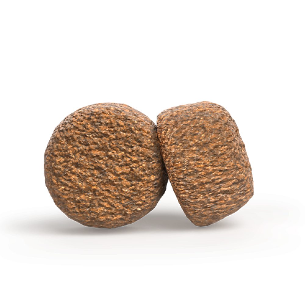 Josera Senior Balance 12,5kg, Trockenfutter für: Hunde, Senior All Size, für ältere Hunde aller Größen