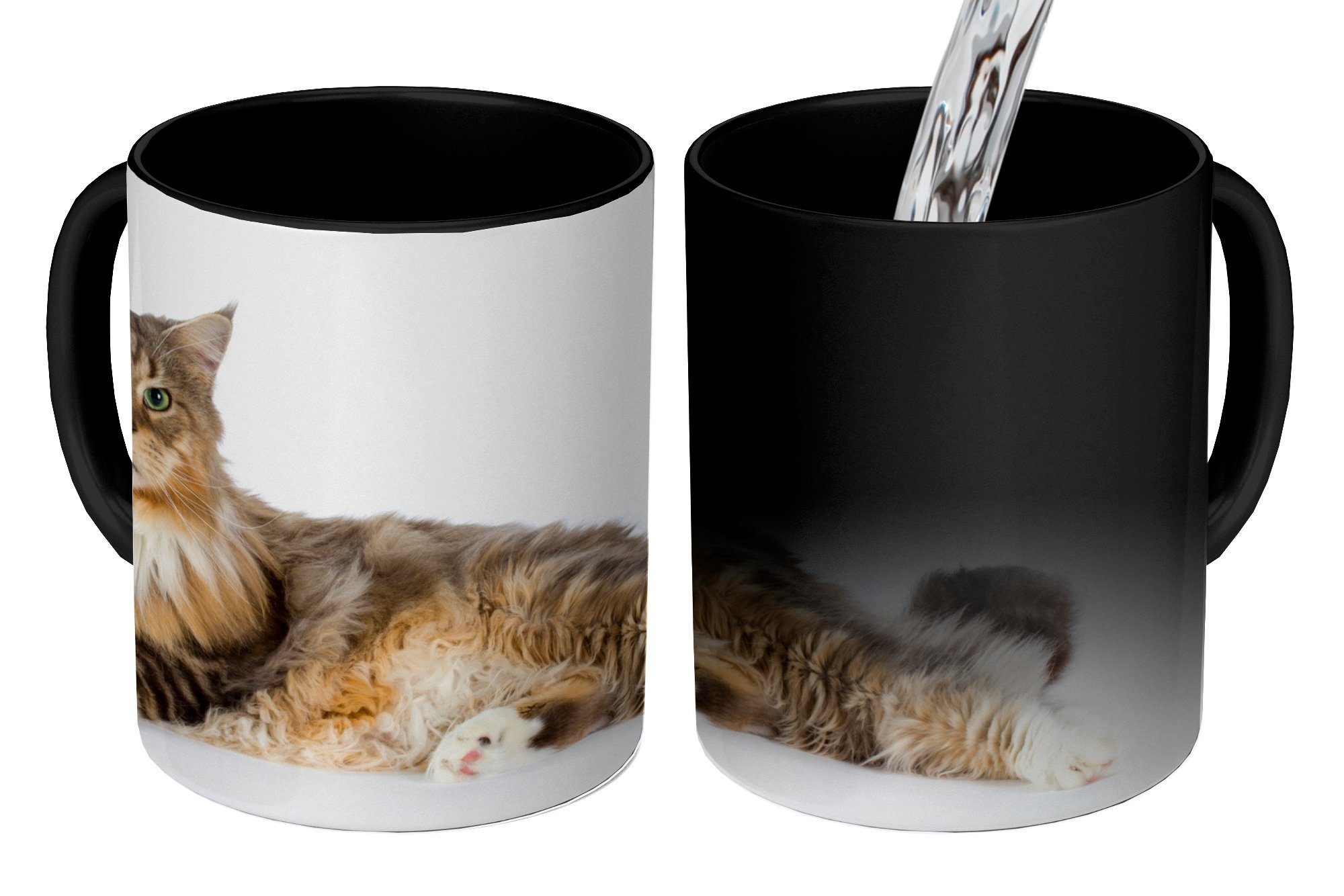 Teetasse, Studioaufnahme Keramik, Tasse Coon bunten Farbwechsel, Zaubertasse, Maine Geschenk einer Kaffeetassen, Katze, MuchoWow