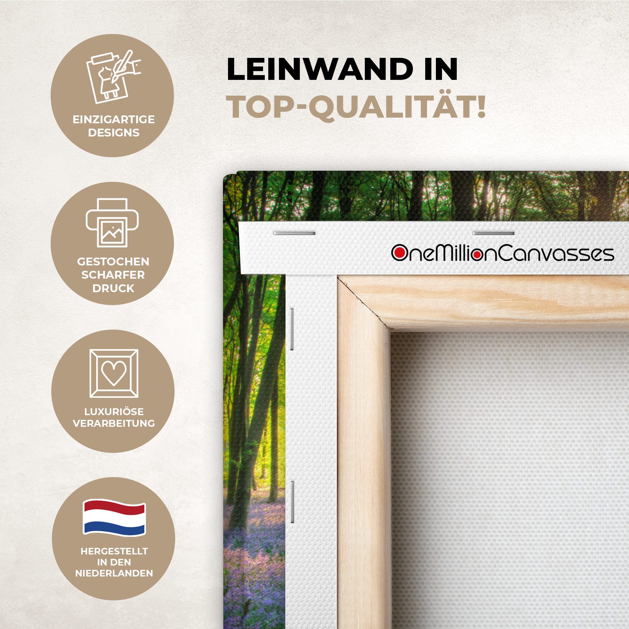 OneMillionCanvasses® Leinwandbild Frühling - Wald - Sonne, Fotodruck (1 St), Leinwand Bilder Klein, Wand Dekoration Aesthetic 30x20 cm