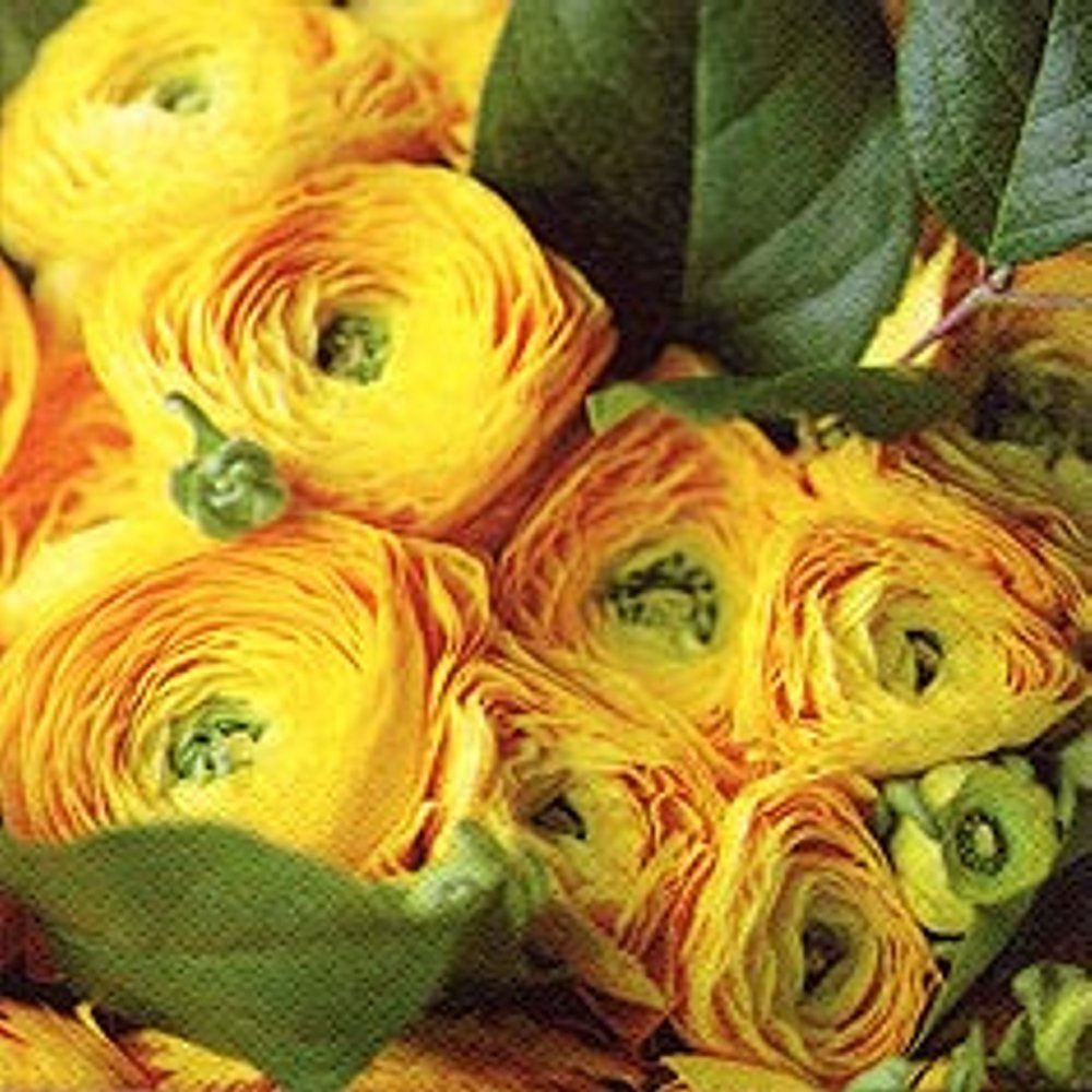 20 Servietten Frühling Gelbe Ranunkeln im Pracht Blumenstrauß 33x33 cm 