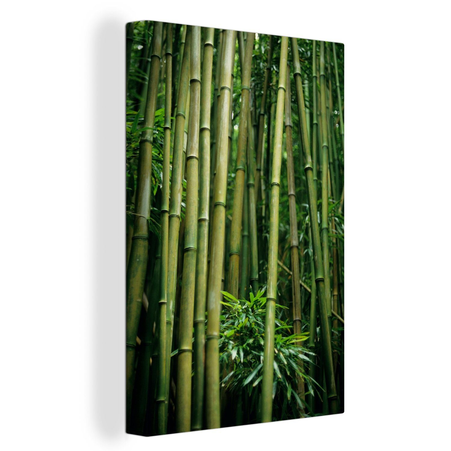 OneMillionCanvasses® Leinwandbild Bambusstämme, (1 St), Leinwandbild fertig bespannt inkl. Zackenaufhänger, Gemälde, 20x30 cm
