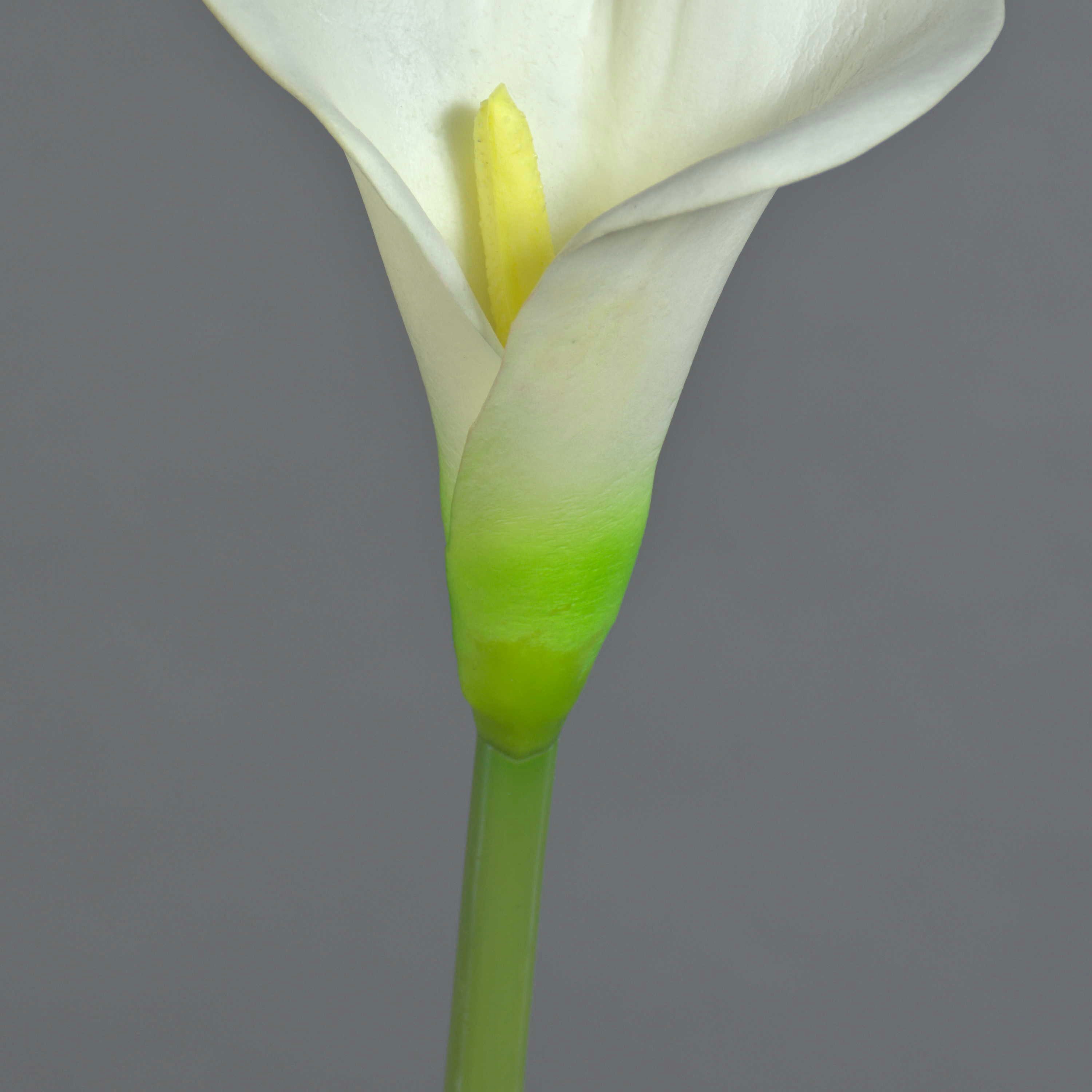 Kunstblume Deko Calla MIRAC, Creme, 75cm, 13x15cm Calla, artplants, Höhe 75.0 cm