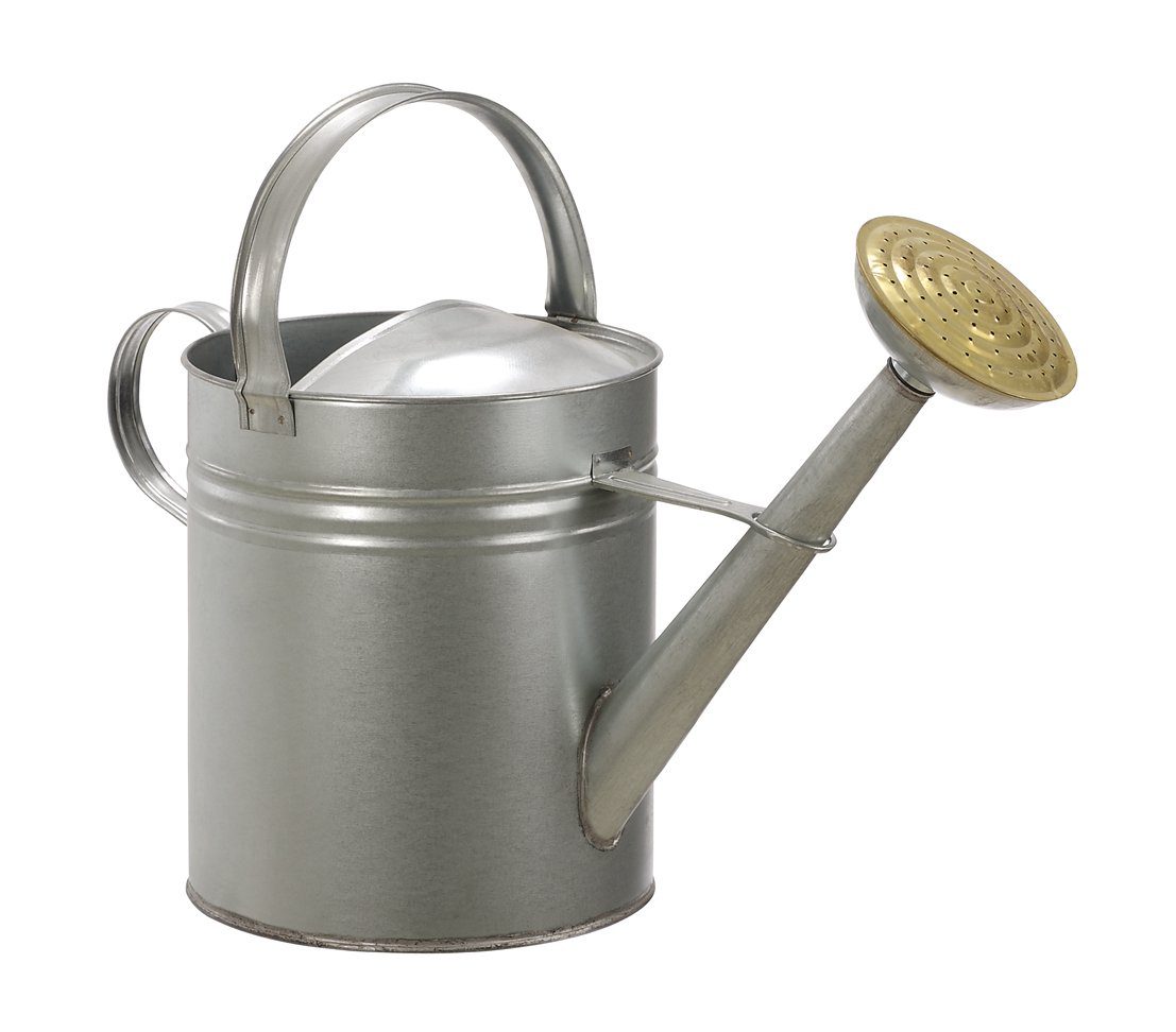 Dehner Blumentopf Gießkanne nostalgisch, 9 l, günstig online kaufen