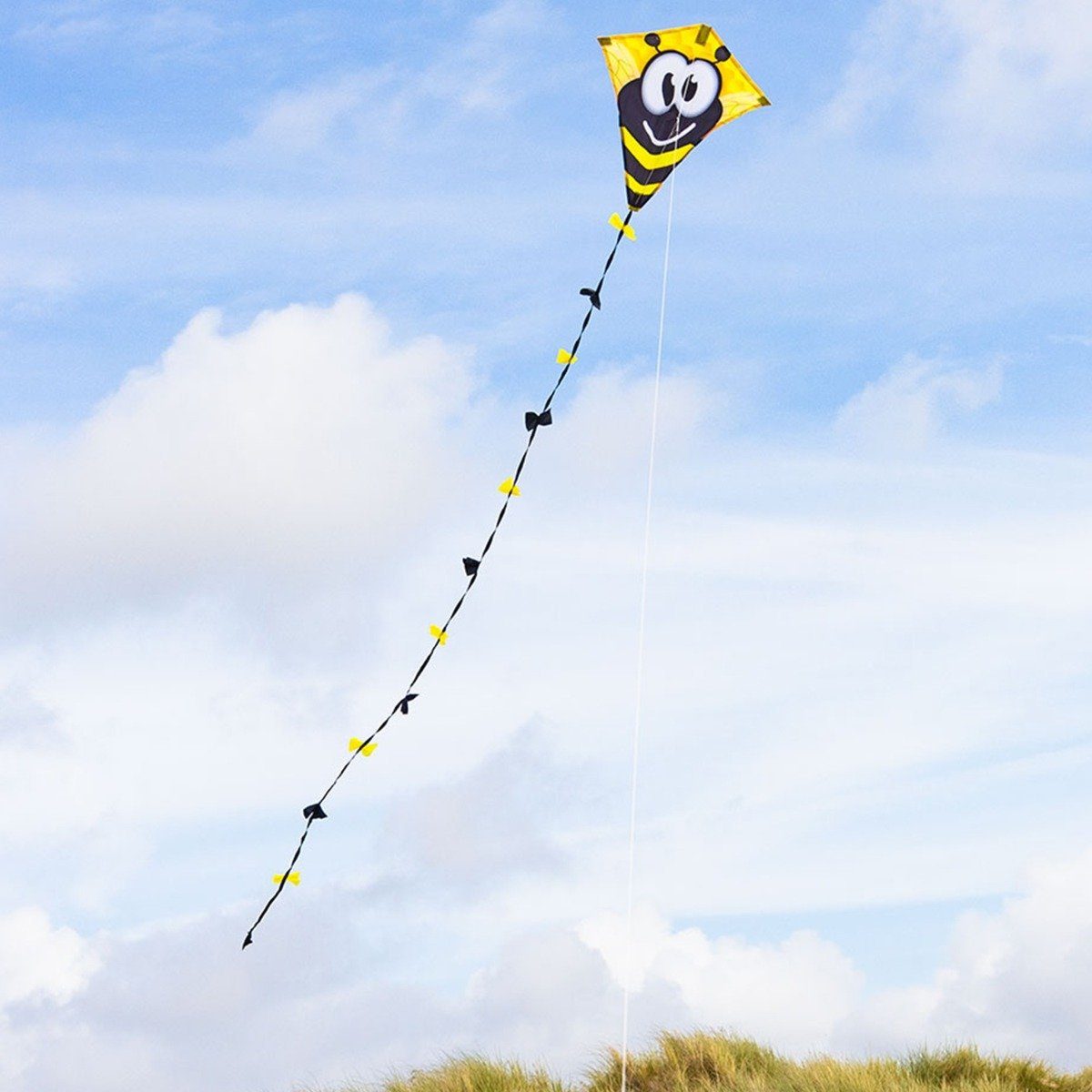 HQ Flug-Drache Kinderdrachen Einleiner Drachen HQ Eddy Bumble Bee 50 cm Flugdrachen, (1-tlg), 2,5 m Drachenschwanz
